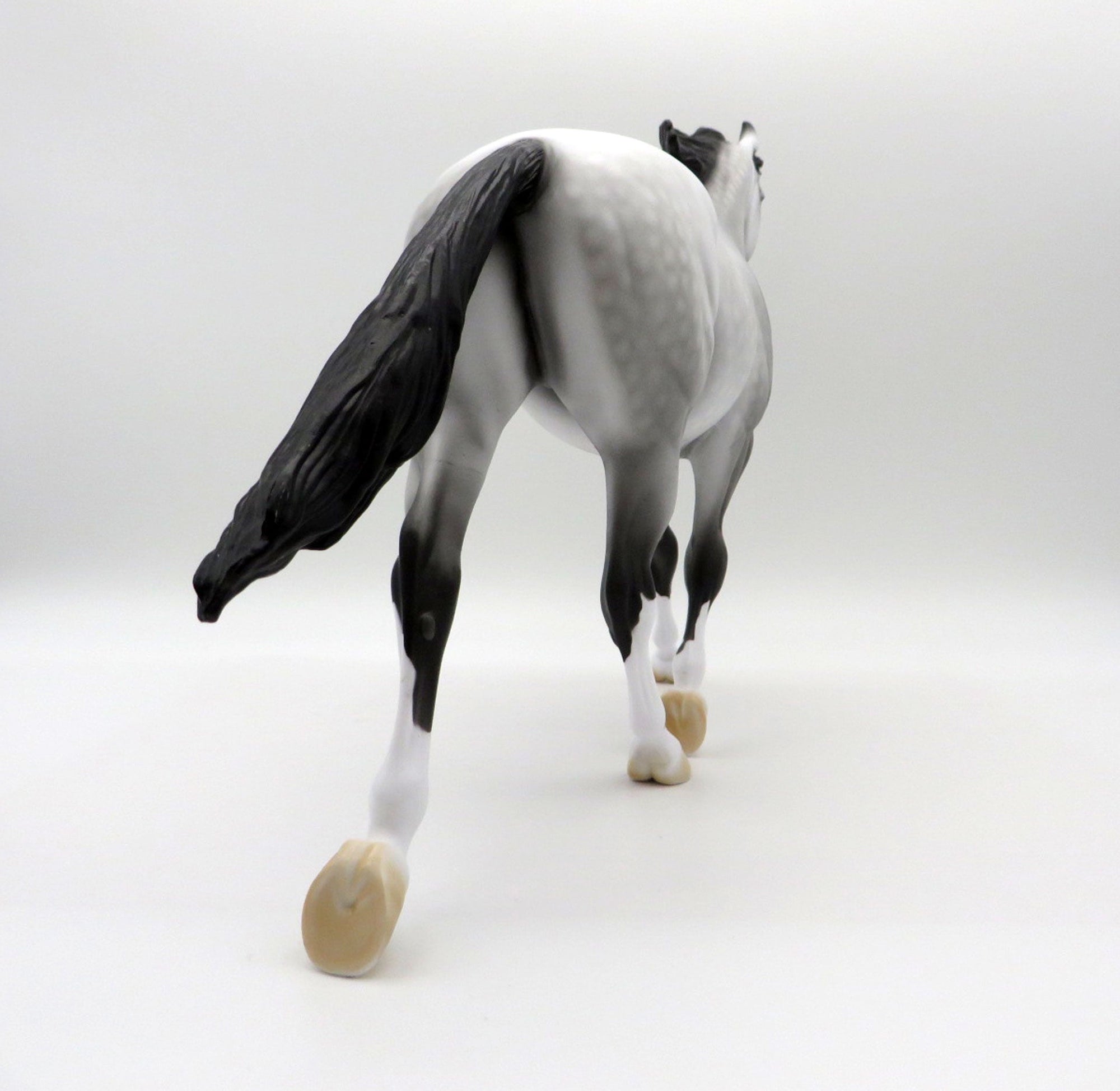 Grey Skies-OOAK Dapple Grey Palouse SHCF 2021