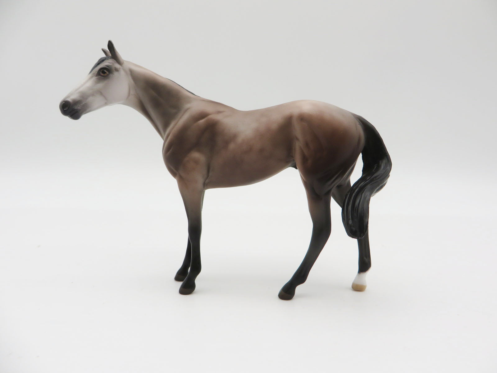 HONOUR - OOAK ROSE GREY THOROUGHBRED CHIP BY JESS HAMILL LHS 22