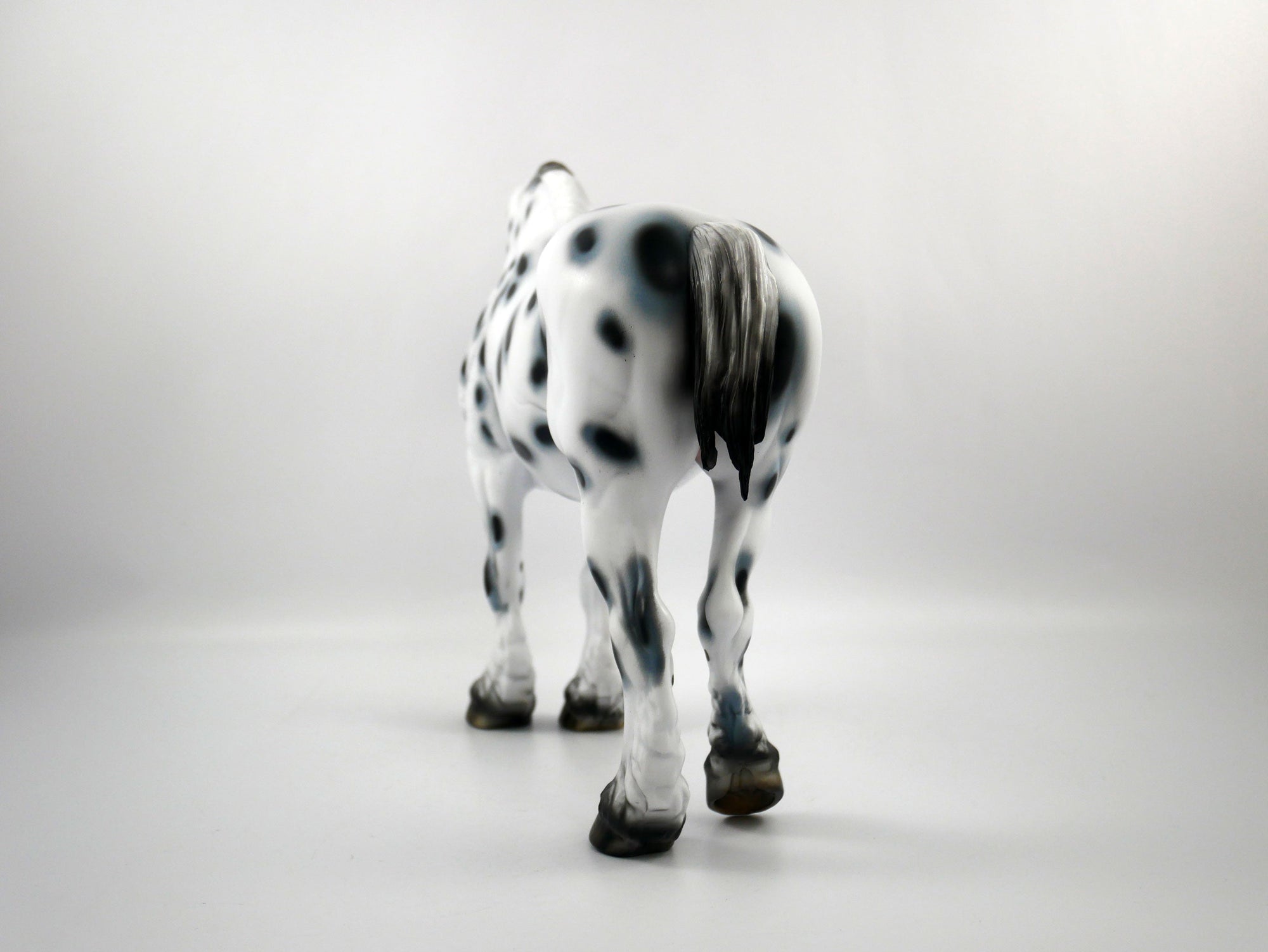 HAIL MARY-LE-15 LOUD APPALOOSA DRAFT MARE SB 21