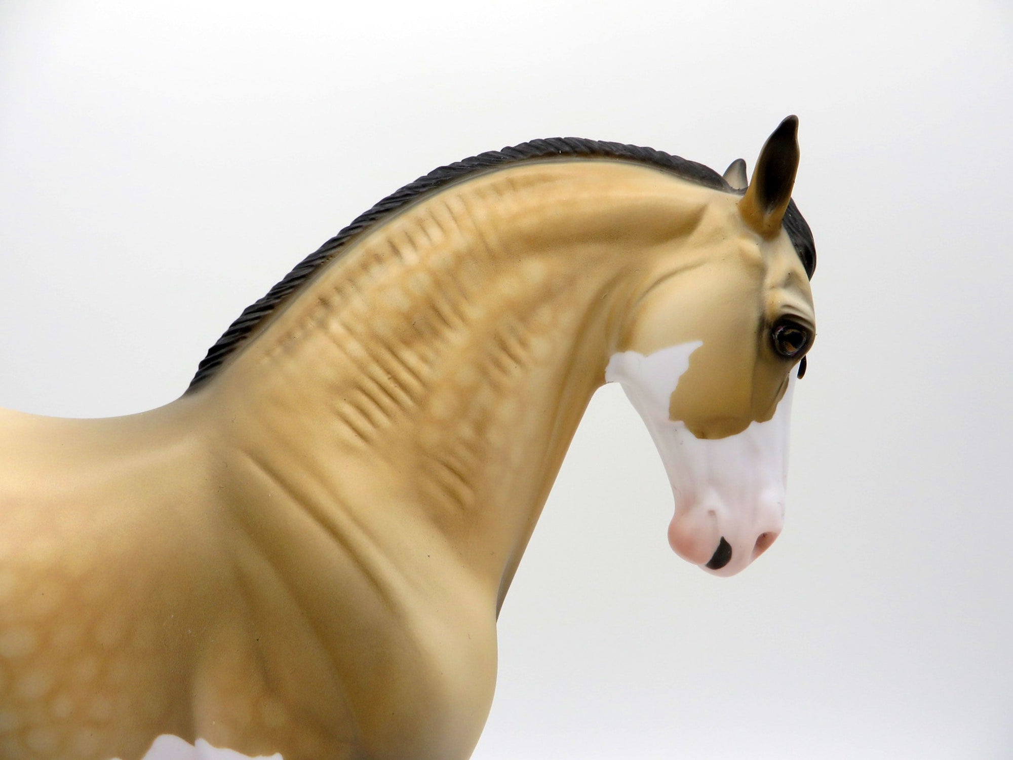 Hailstorm-OOAK Dapple Buckskin Paint Andalusian SHCF 2021