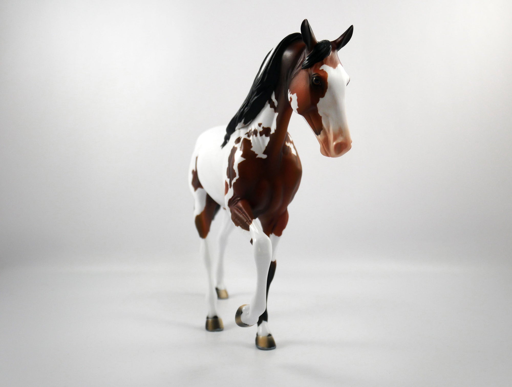 HANDOFF-OOAK Bay Pinto Tennessee Walker SB21