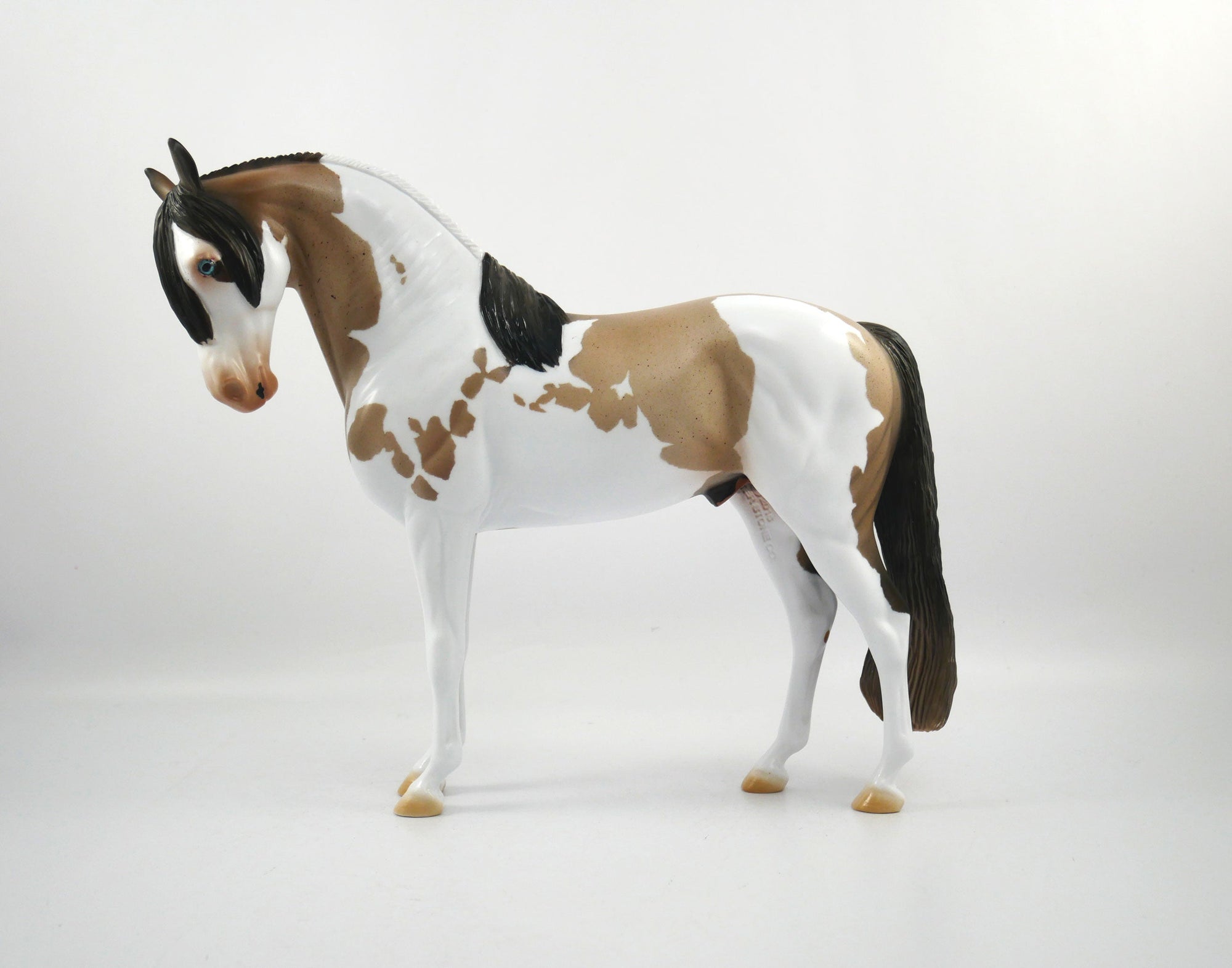 Hash Marks-OOAK Bay Roan Paint Andalusian SB21