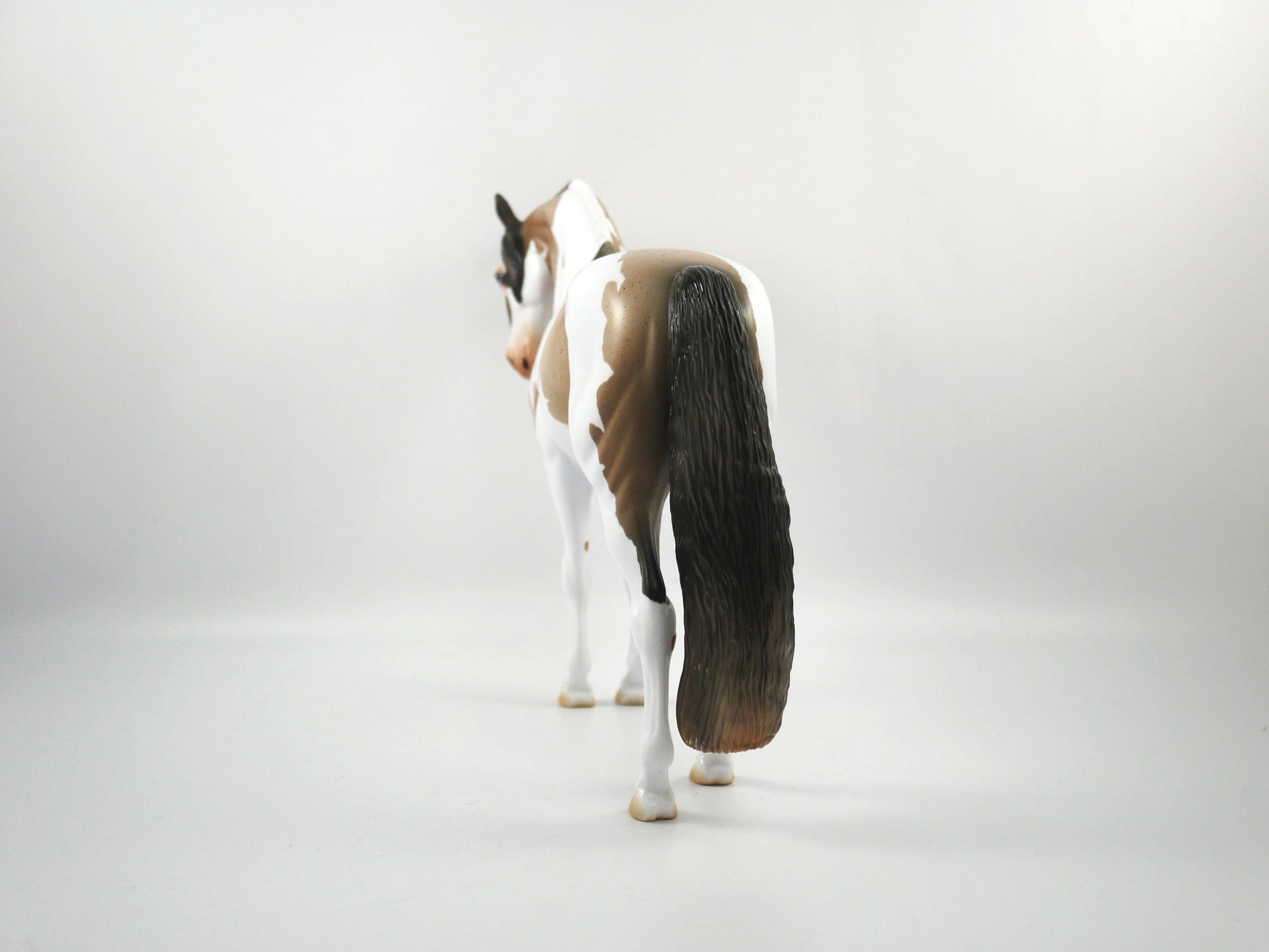 Hash Marks-OOAK Bay Roan Paint Andalusian SB21