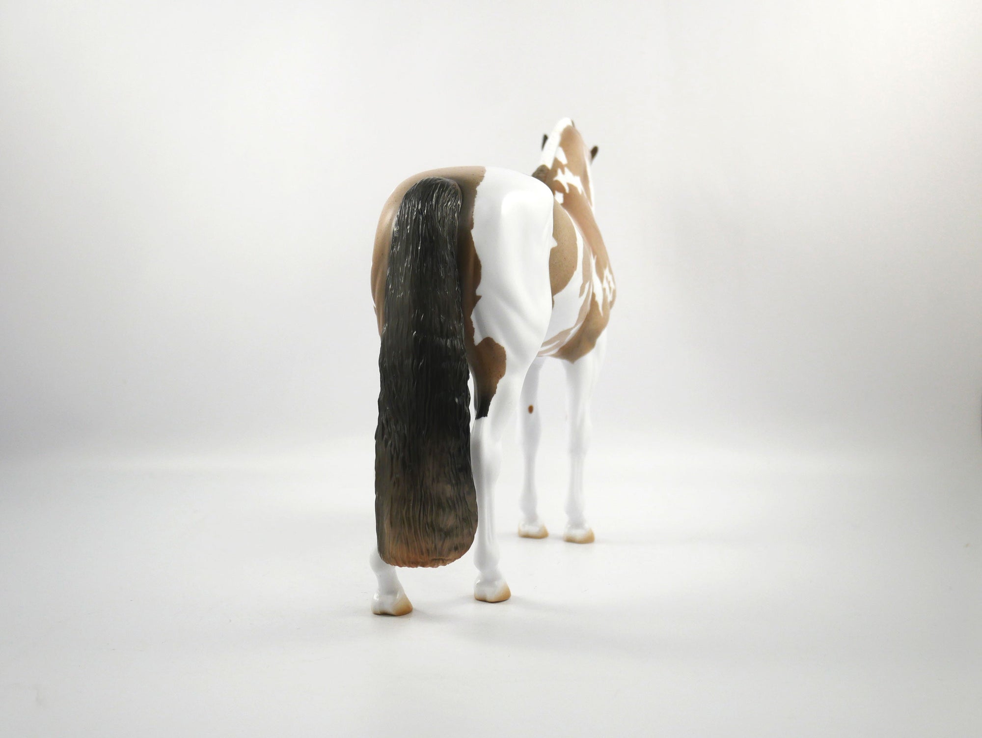 Hash Marks-OOAK Bay Roan Paint Andalusian SB21