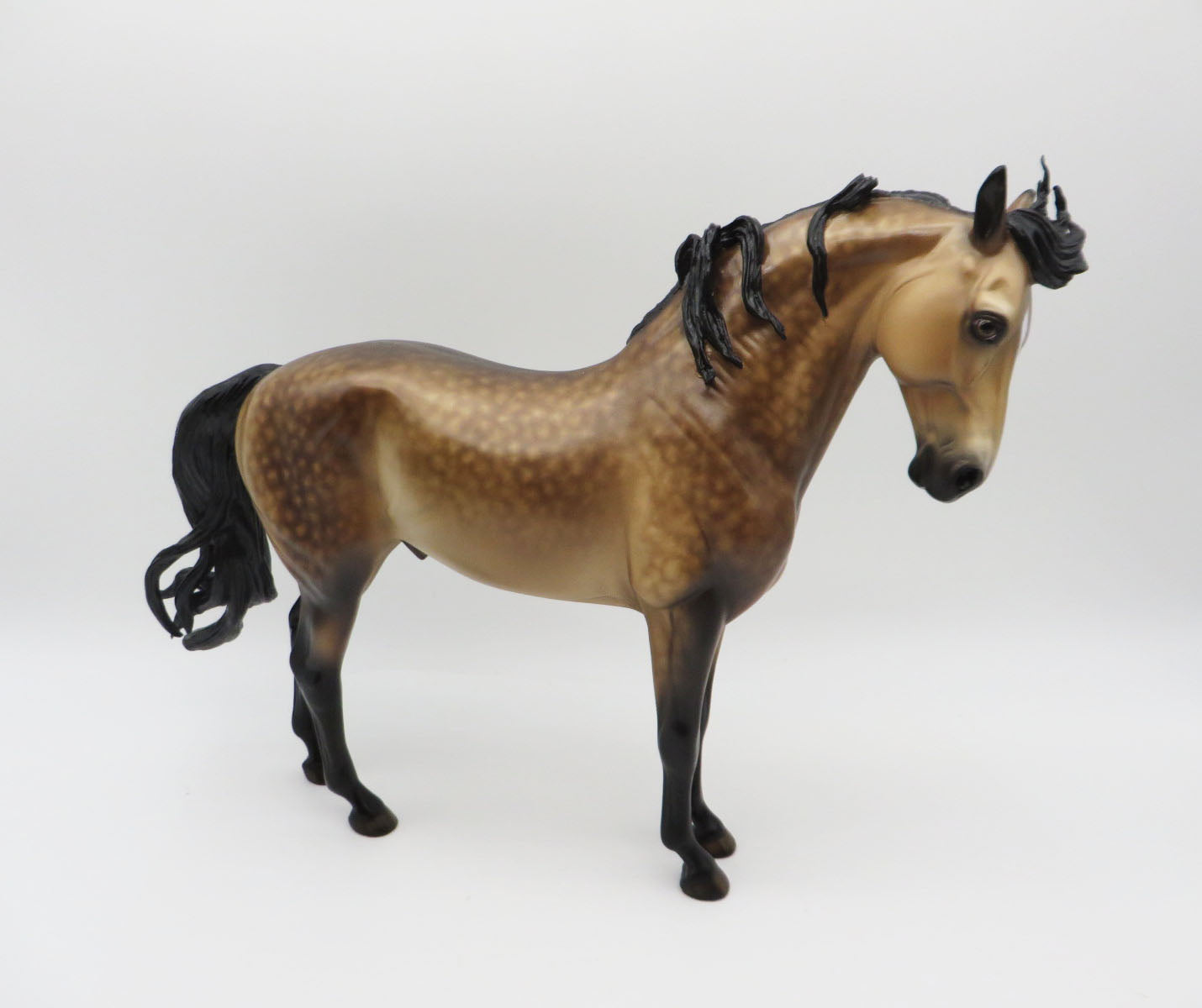 Hawthorne - OOAK - Dapple Buckskin Andalusian by Sheryl Leisure - Best Offers 1/9/23