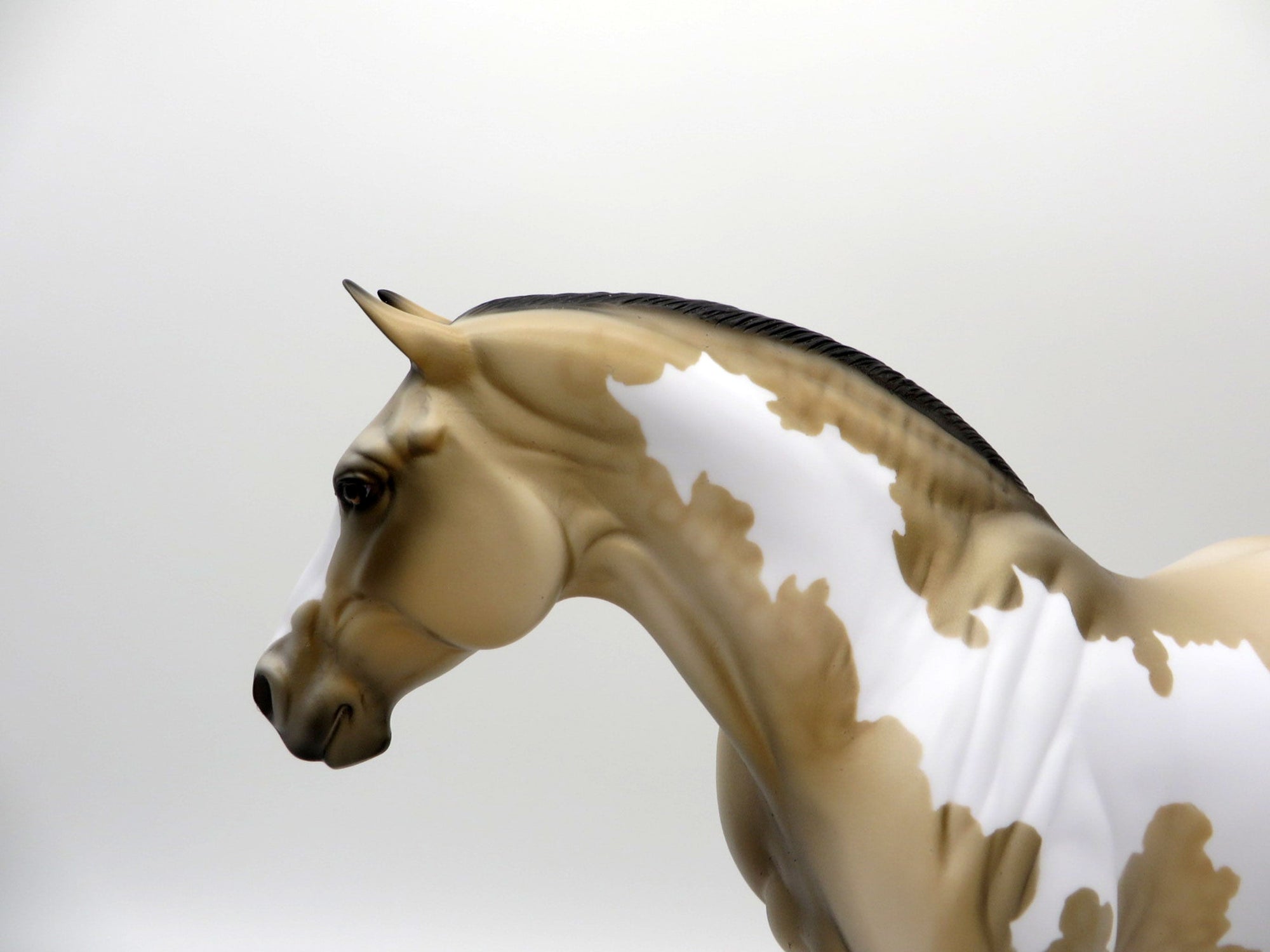 Hazel-OOAK Buckskin Paint Heavy Draft Mare SHCF 2021