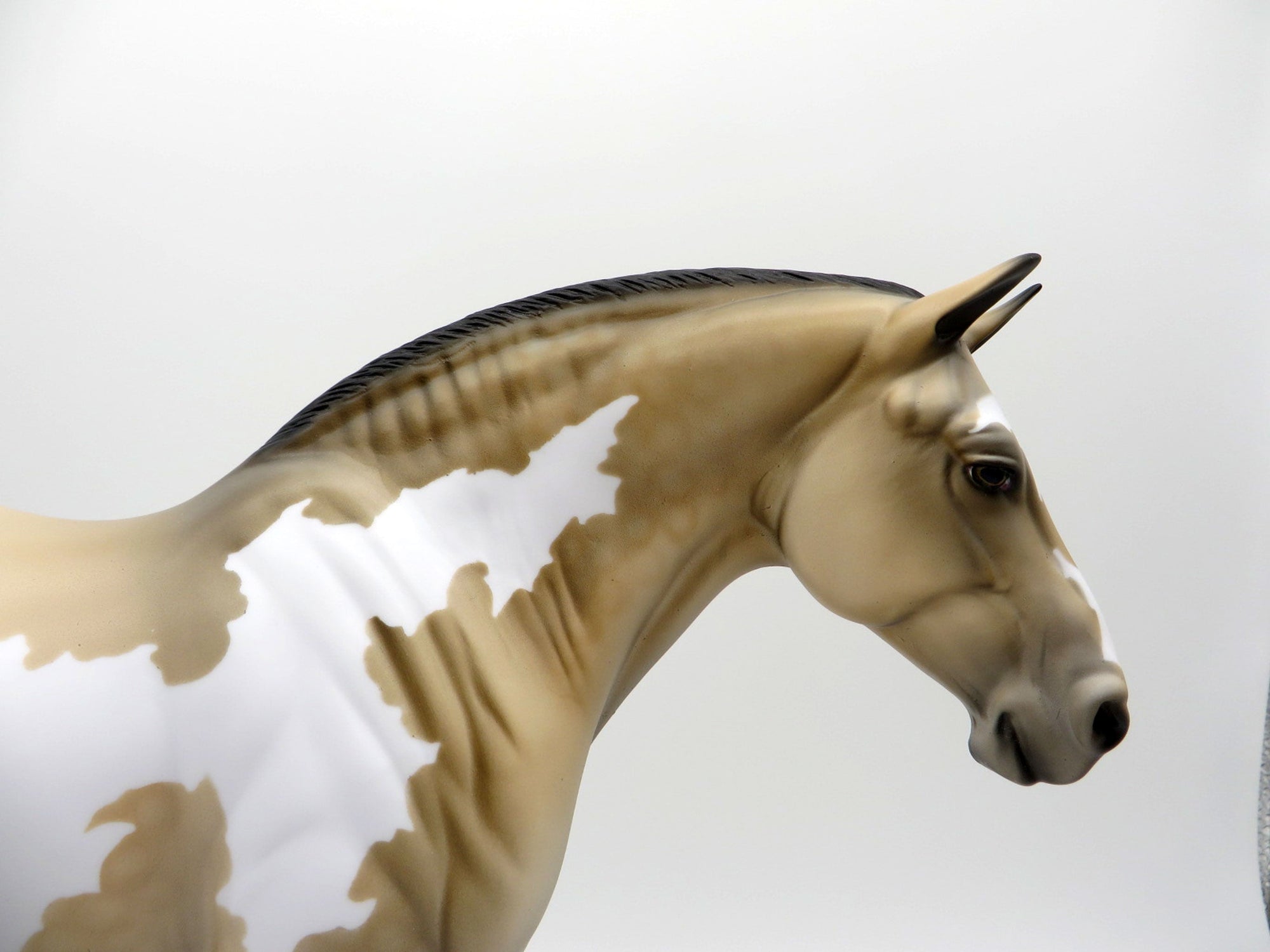 Hazel-OOAK Buckskin Paint Heavy Draft Mare SHCF 2021