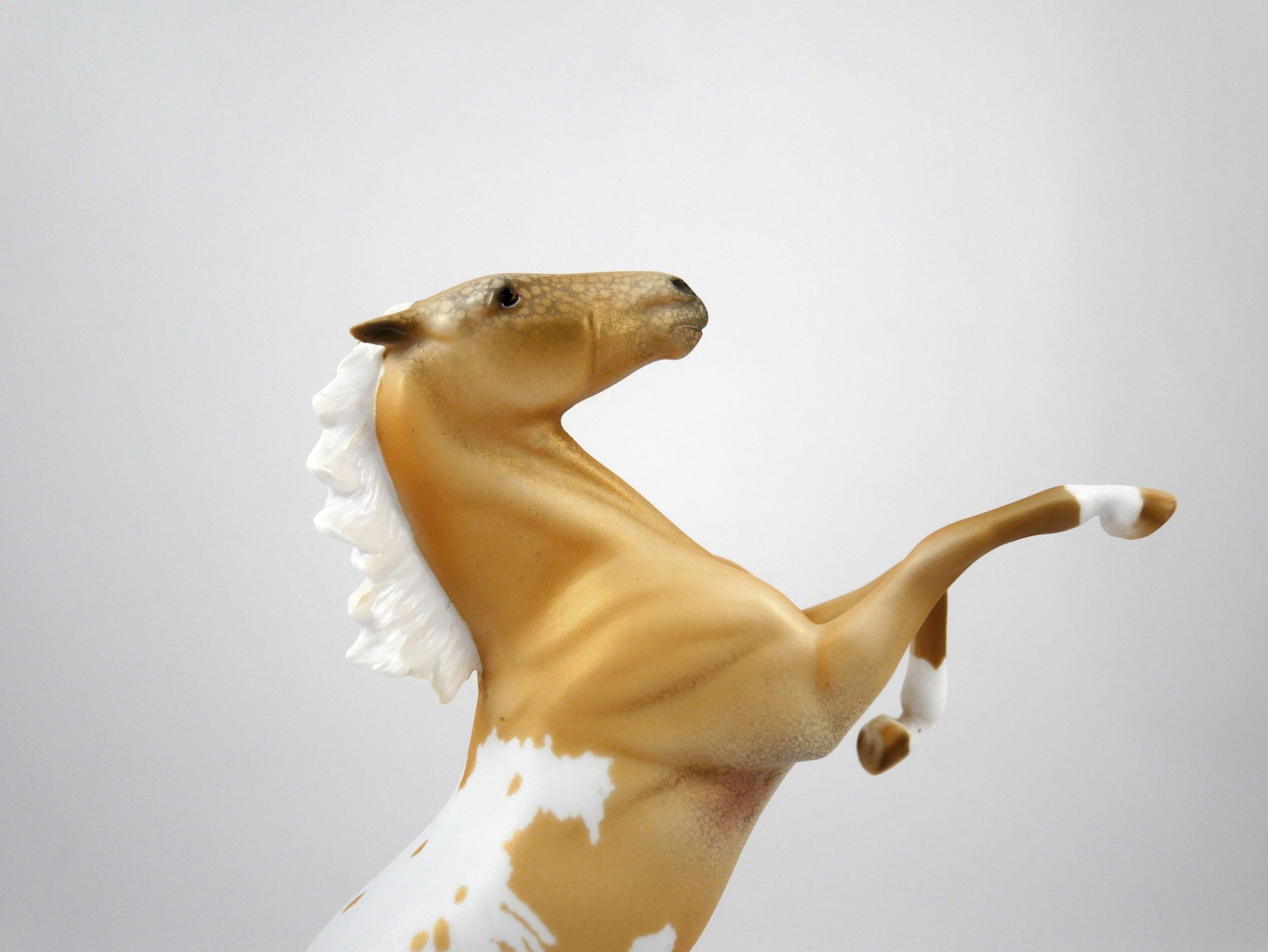 Heisman-LE-8 Palomino Rearing Pebbles SB21