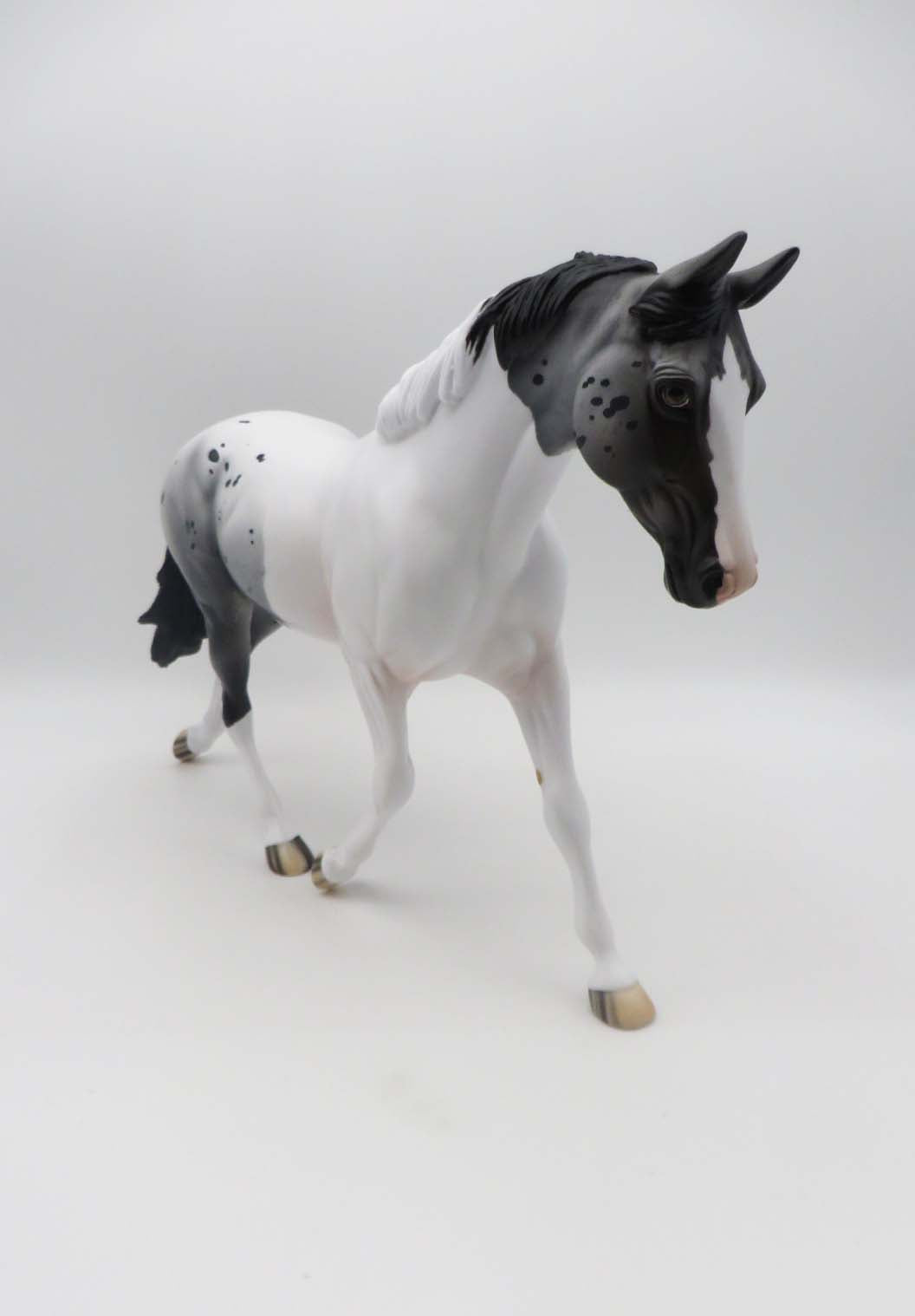 Helena - OOAK - Pintaloosa Palouse By Jess Hamill - SHCF23