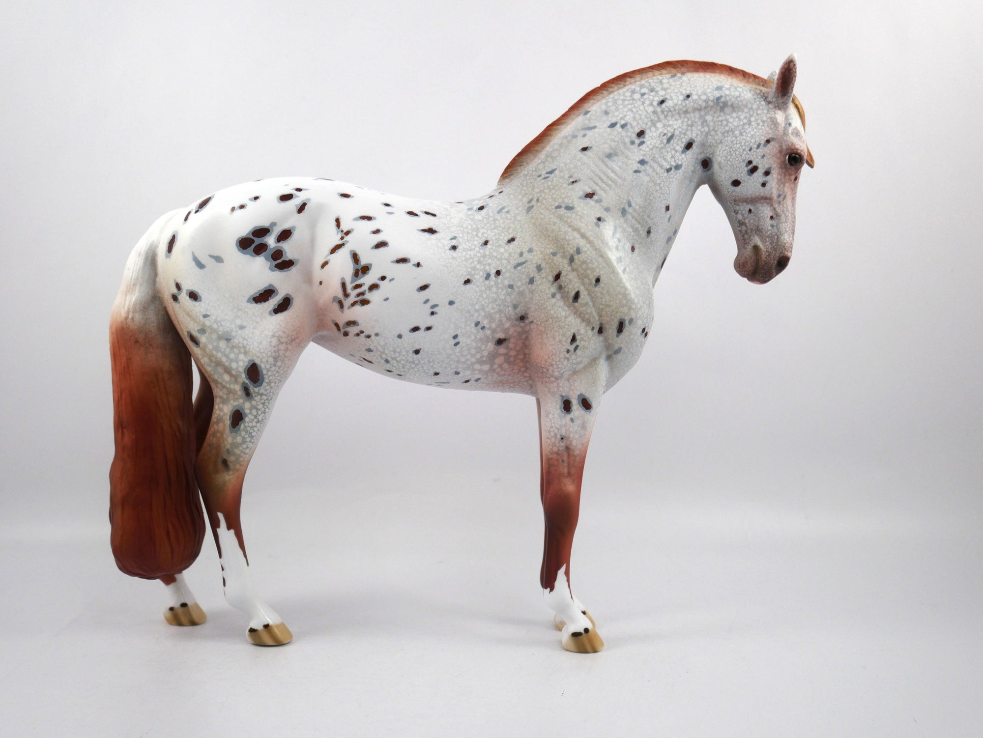 Helmet Head-OOAK Loud Appaloosa Andalusian SB 21