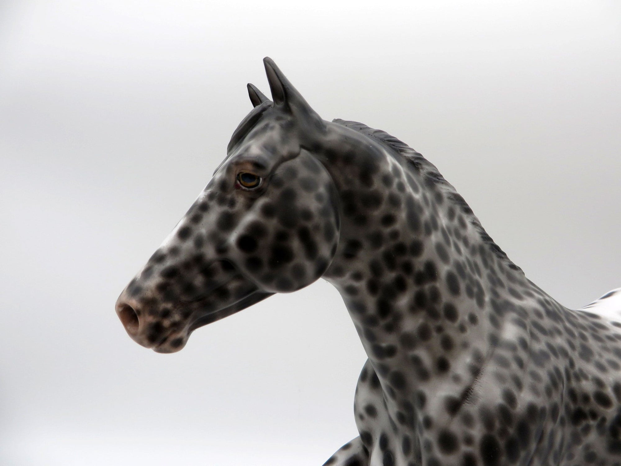 Hill of Beans-OOAK Loud Appaloosa FQH Painted By Sheryl Leisure 6/7/21