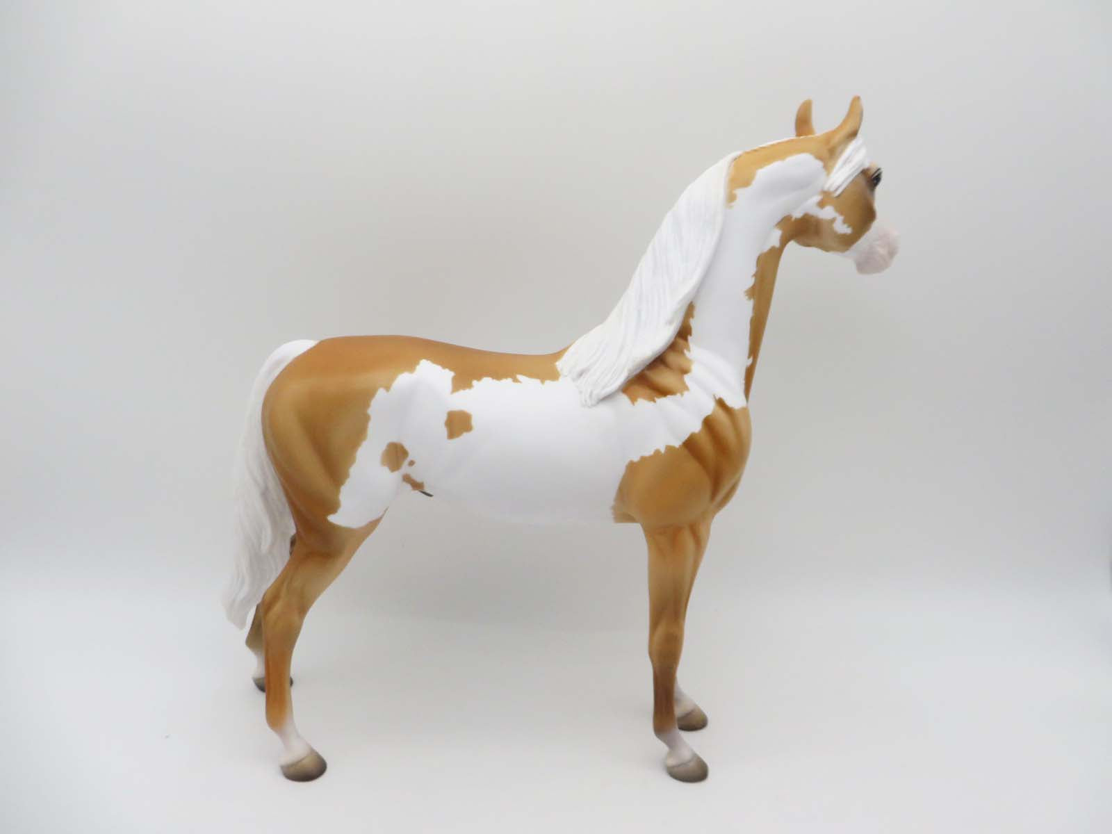Hobbes-OOAK Palomino Paint By Dawn Quick P&C 23