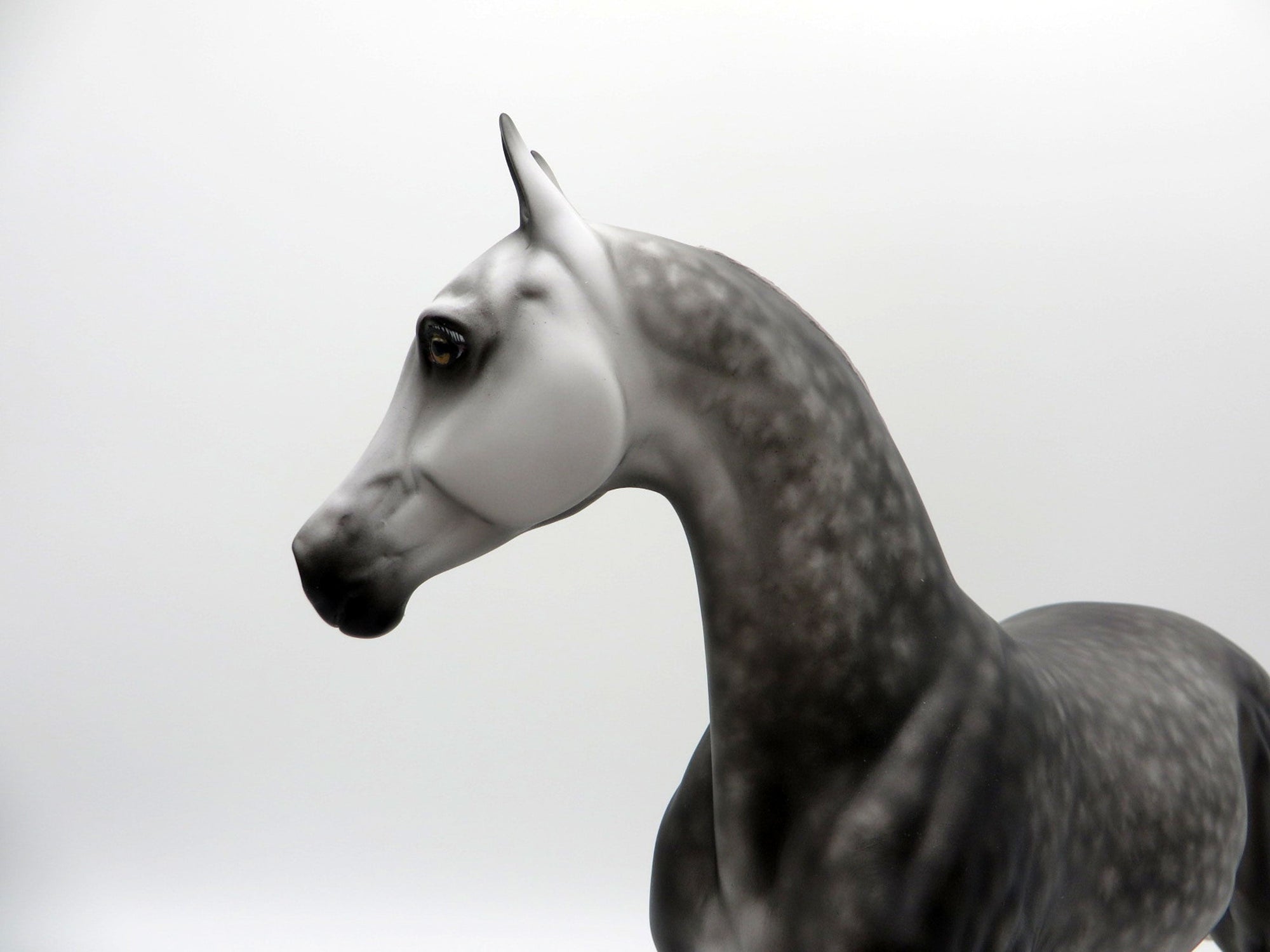 House of Mirrors-OOAK Dapple Grey Arabian Mare 5/11/21
