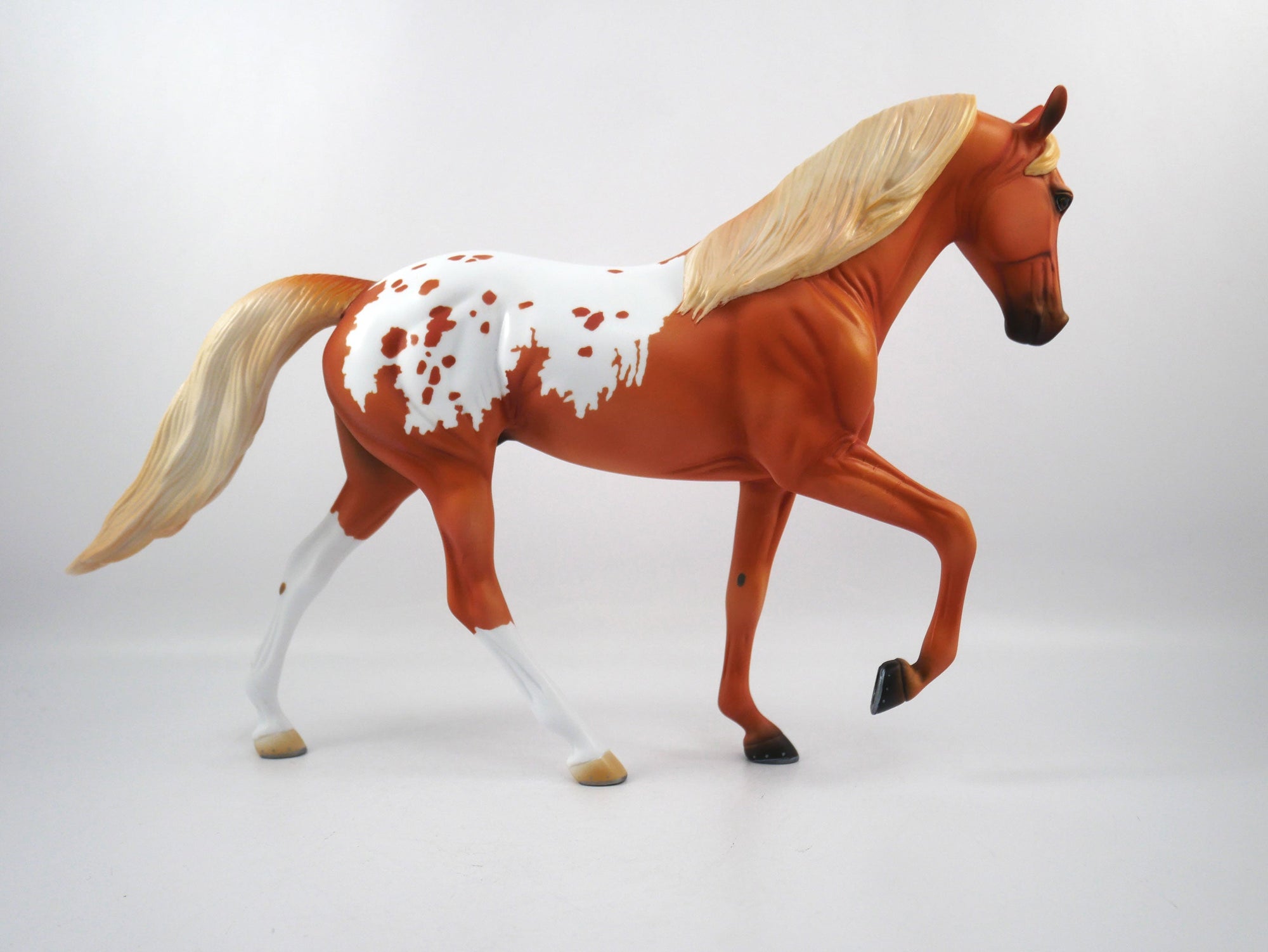Huddle-OOAK Chestnut Appaloosa Tennessee Walker SB21