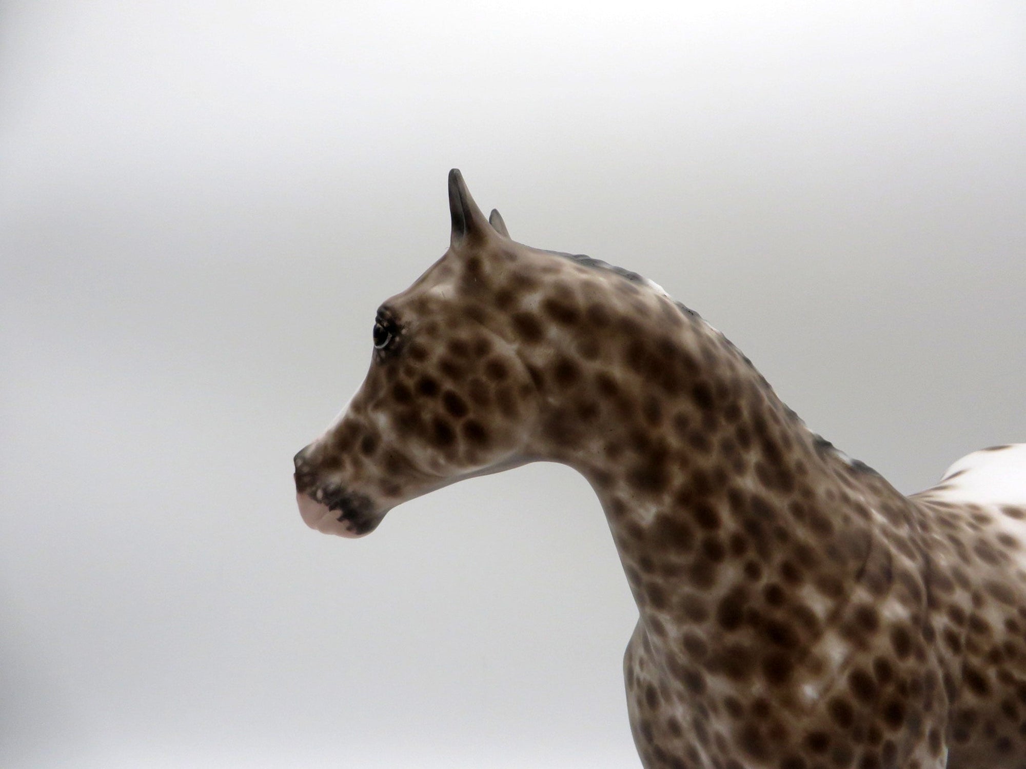 I Declare-OOAK Loud Appaloosa ISH Painted By Sheryl Leisure 5/24/21