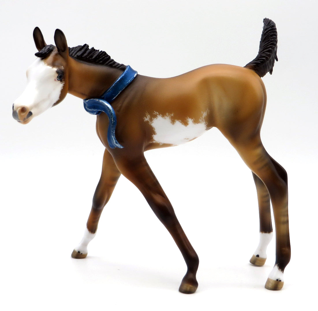 Annabelle-OOAK Dun Overo Foal Painted by Julie 12/27/21