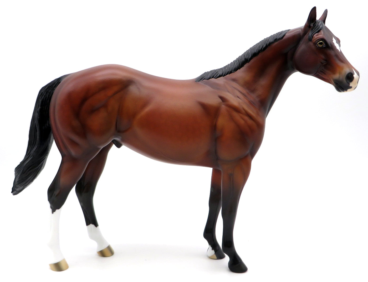 Coach -- Gambler's Choice ISH -- Stone Bowl V