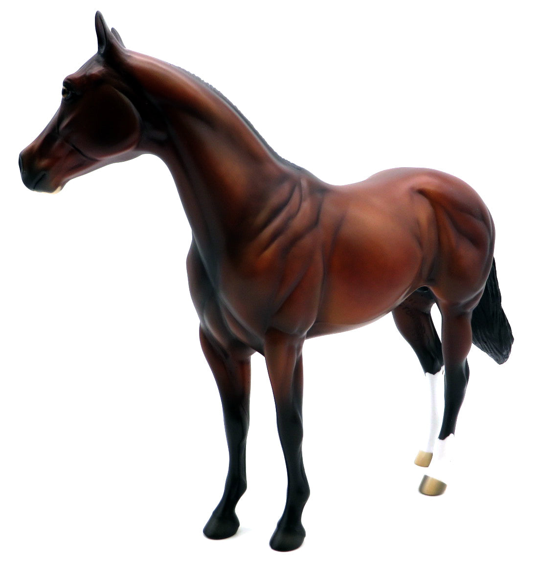 Coach -- Gambler's Choice ISH -- Stone Bowl V