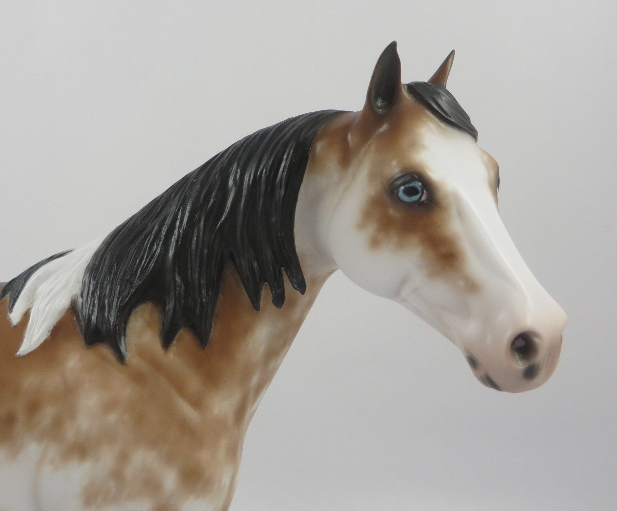 Macroblast-OOAK Bay Sabino ISH Painted By Sheryl Leisure 2/21