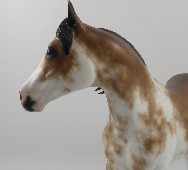 Macroblast-OOAK Bay Sabino ISH Painted By Sheryl Leisure 2/21