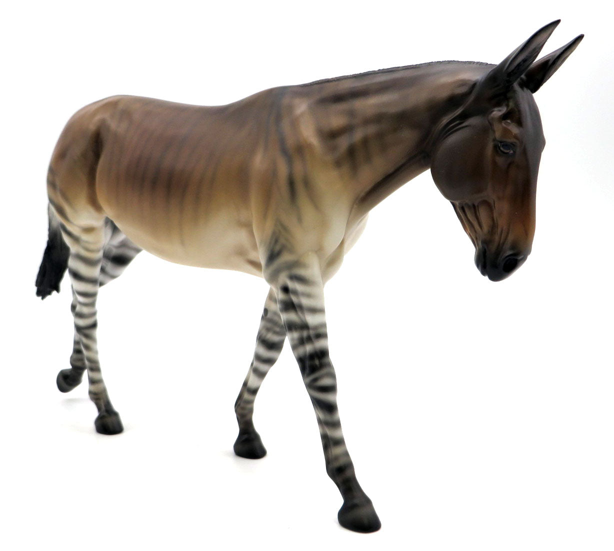 Zonkey - Zebra/Donkey Cross by Ellen Robbins