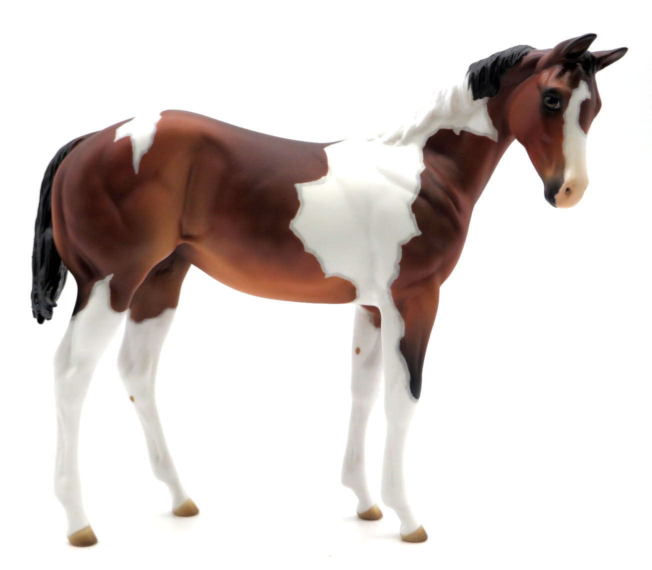 Hotsy-Totsy - OOAK Bay Tobiano Weanling - SHCF 22
