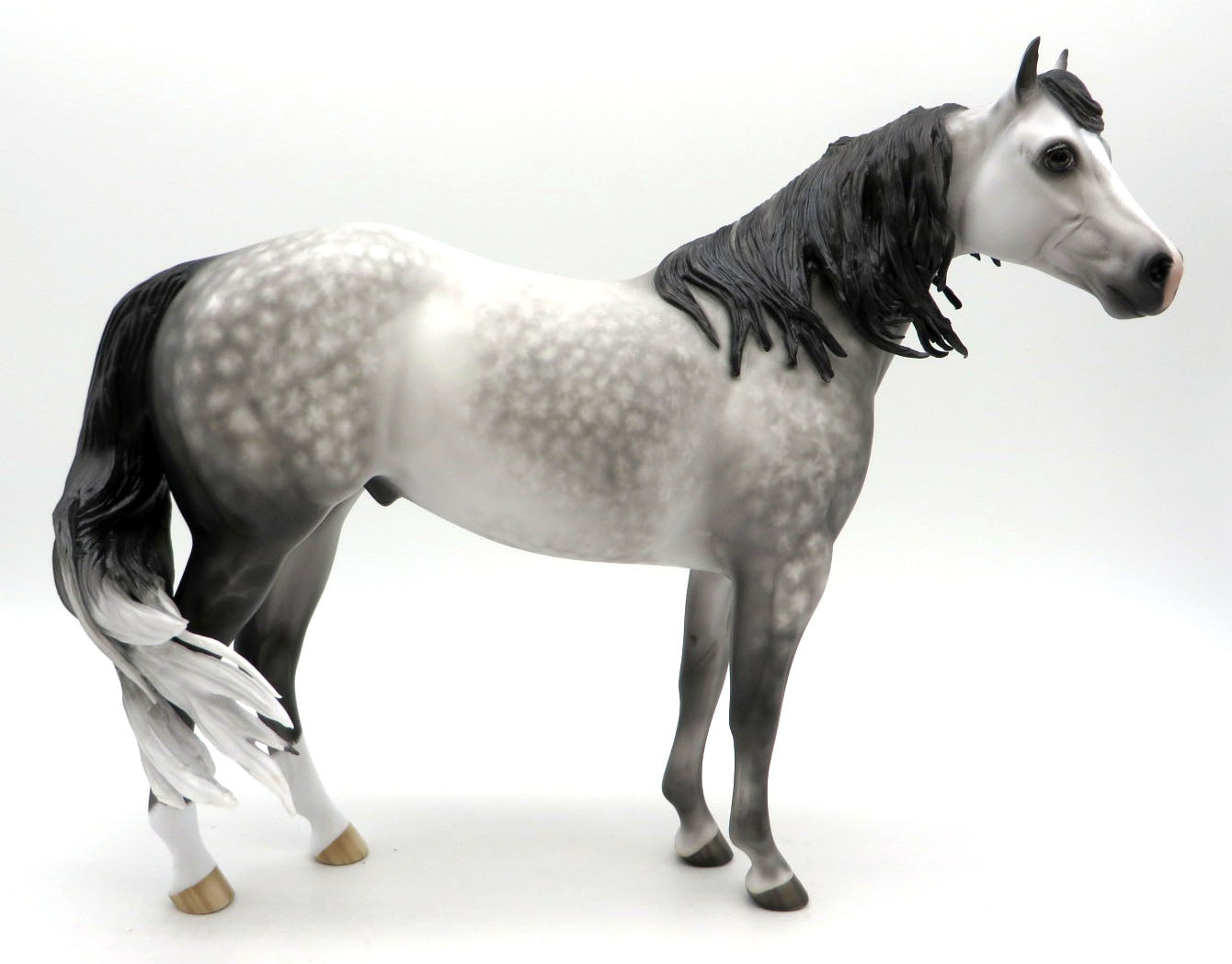 The Jam - Dapple Gray ISH by Sheryl Leisure