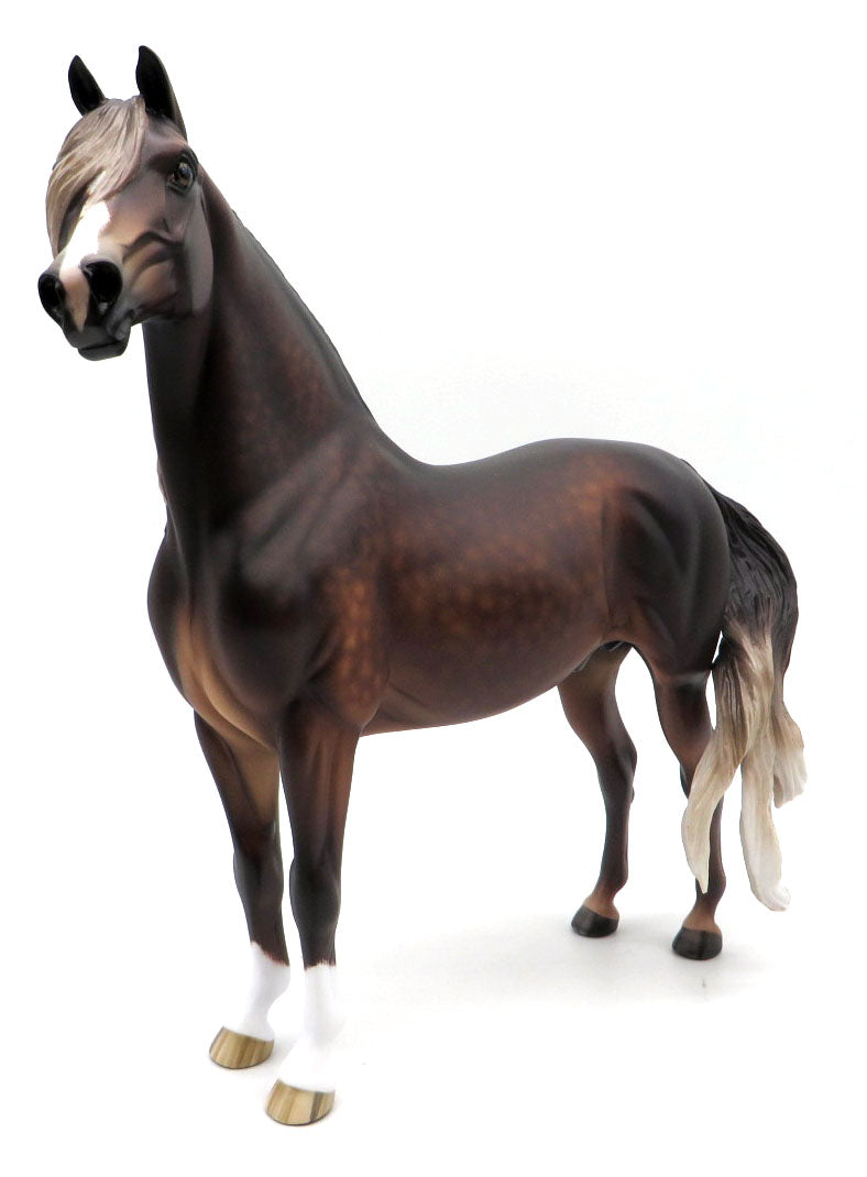 Devo - Chestnut Morgan by Sheryl Leisure