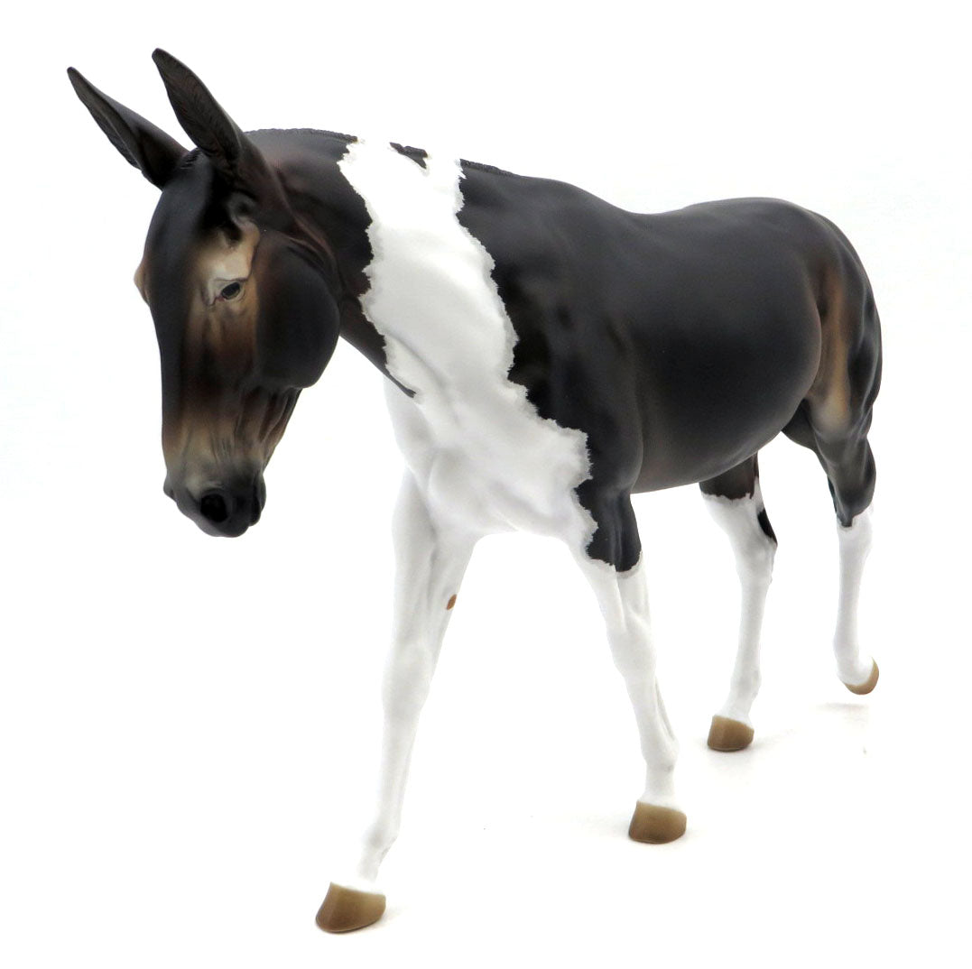 Christine-OOAK Bay Pinto Mule Painted By Jess Hamill 3/21/22