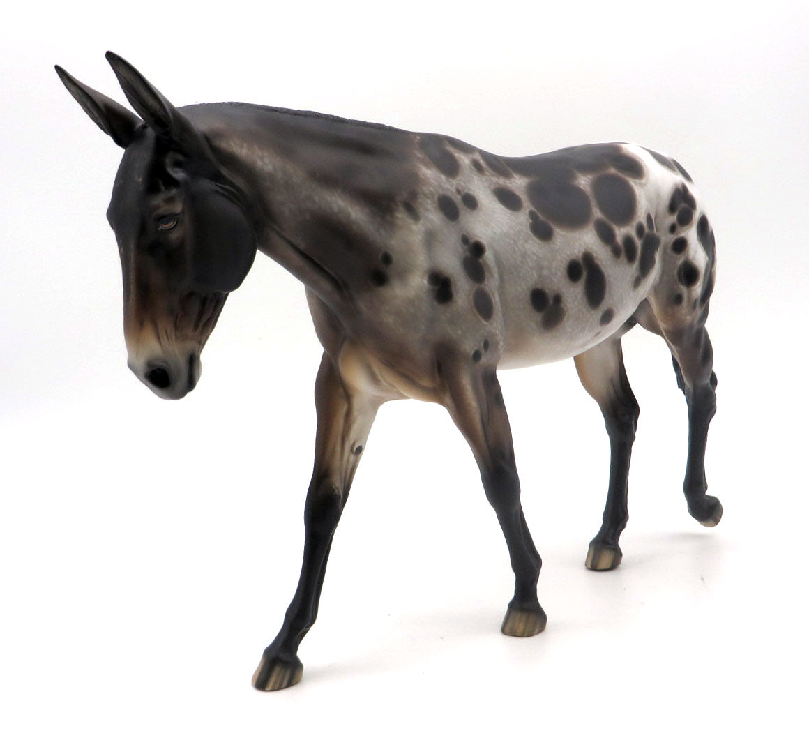 Carole-OOAK Bay Spotted Mule Painted by Sheryl Leisure 3/28/22