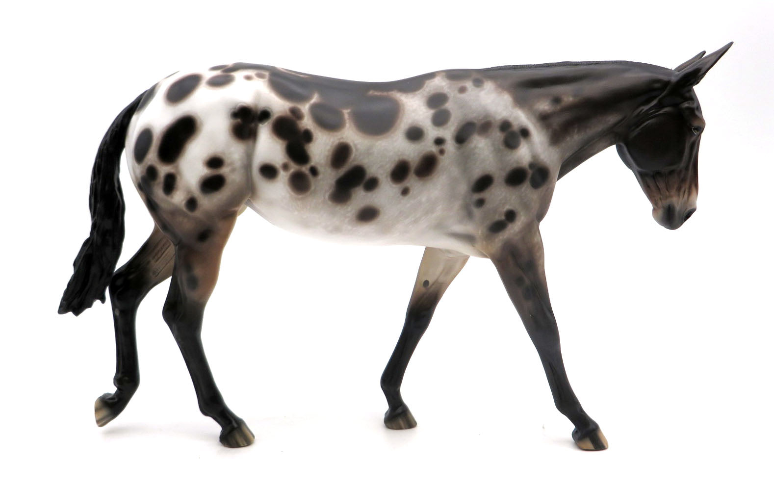 Carole-OOAK Bay Spotted Mule Painted by Sheryl Leisure 3/28/22