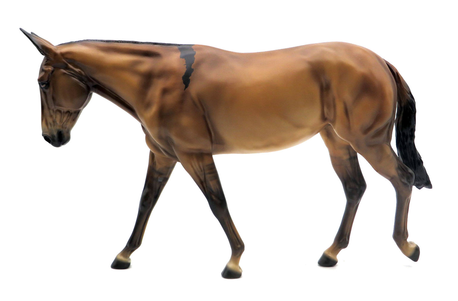 Bootleg - Bay Dun Mule - SHCF 22