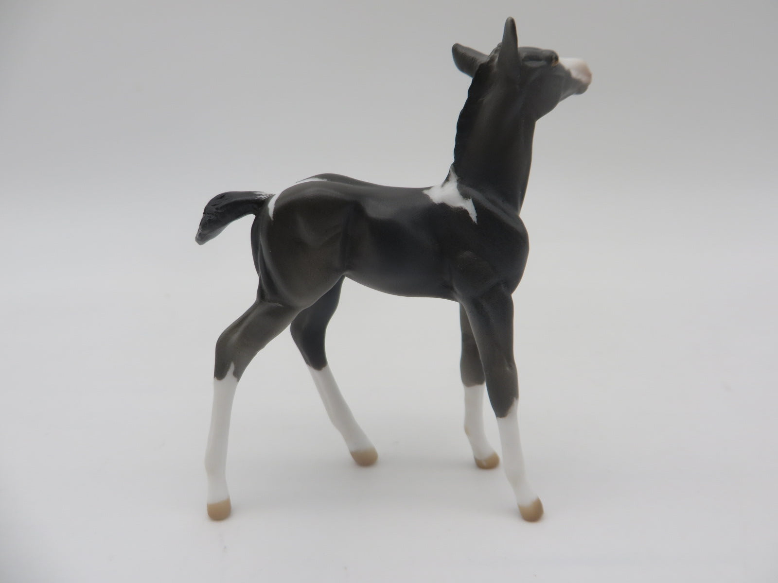 Hooter - OOAK - Chip Foal By Donna Fredley - SHCF23