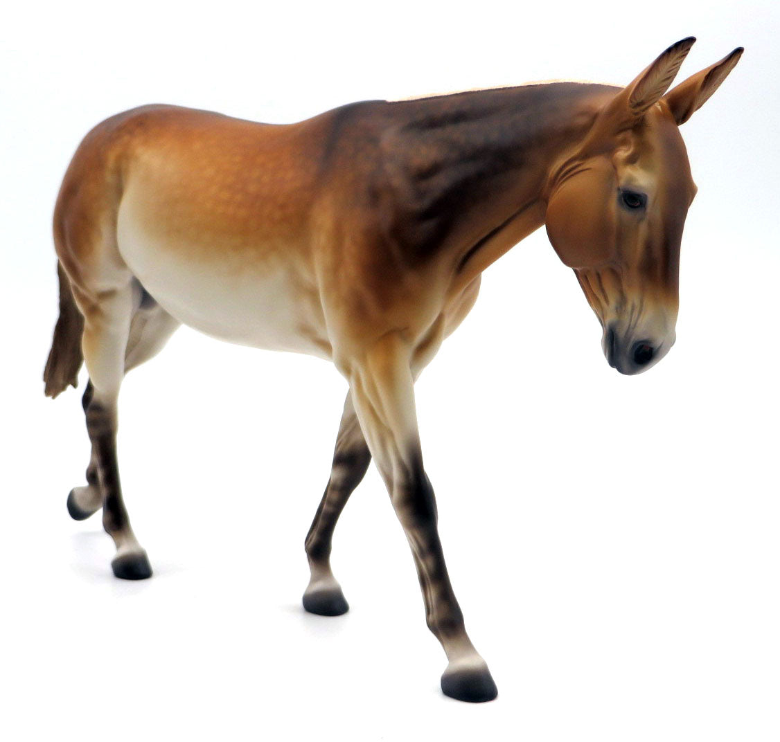 Stylistic-OOAK Dapple Dun Mule by Caroline Boydston 4/11/22