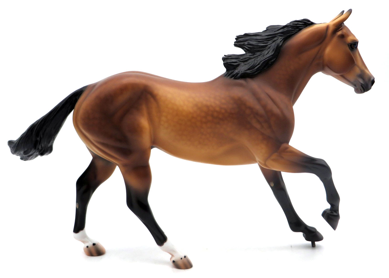 Dobie-OOAK Dapple Bay FQH Painted by Caroline 4/18/22