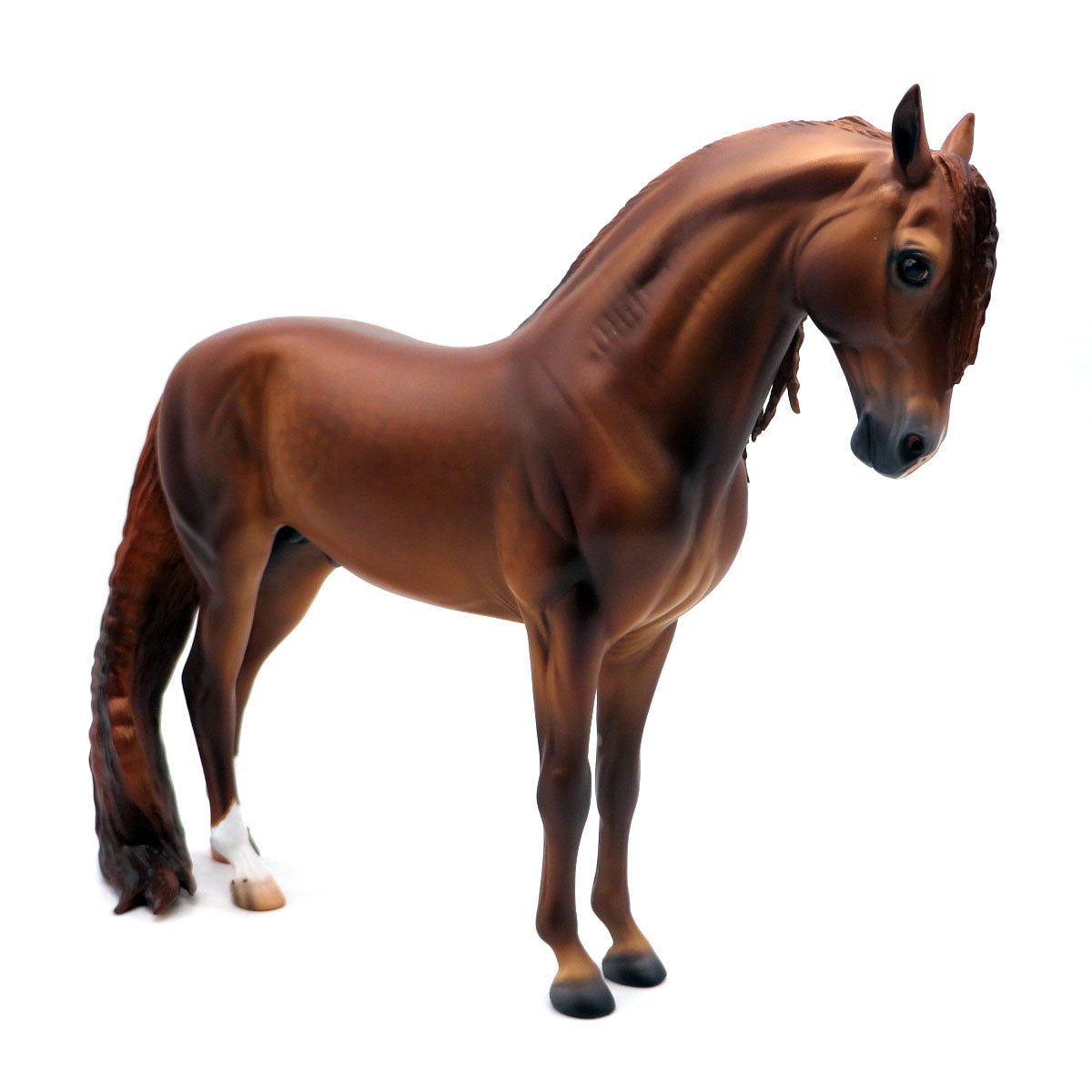 Dokken-OOAK Chestnut Andalusian Painted By Caroline Boydston 4/29/22