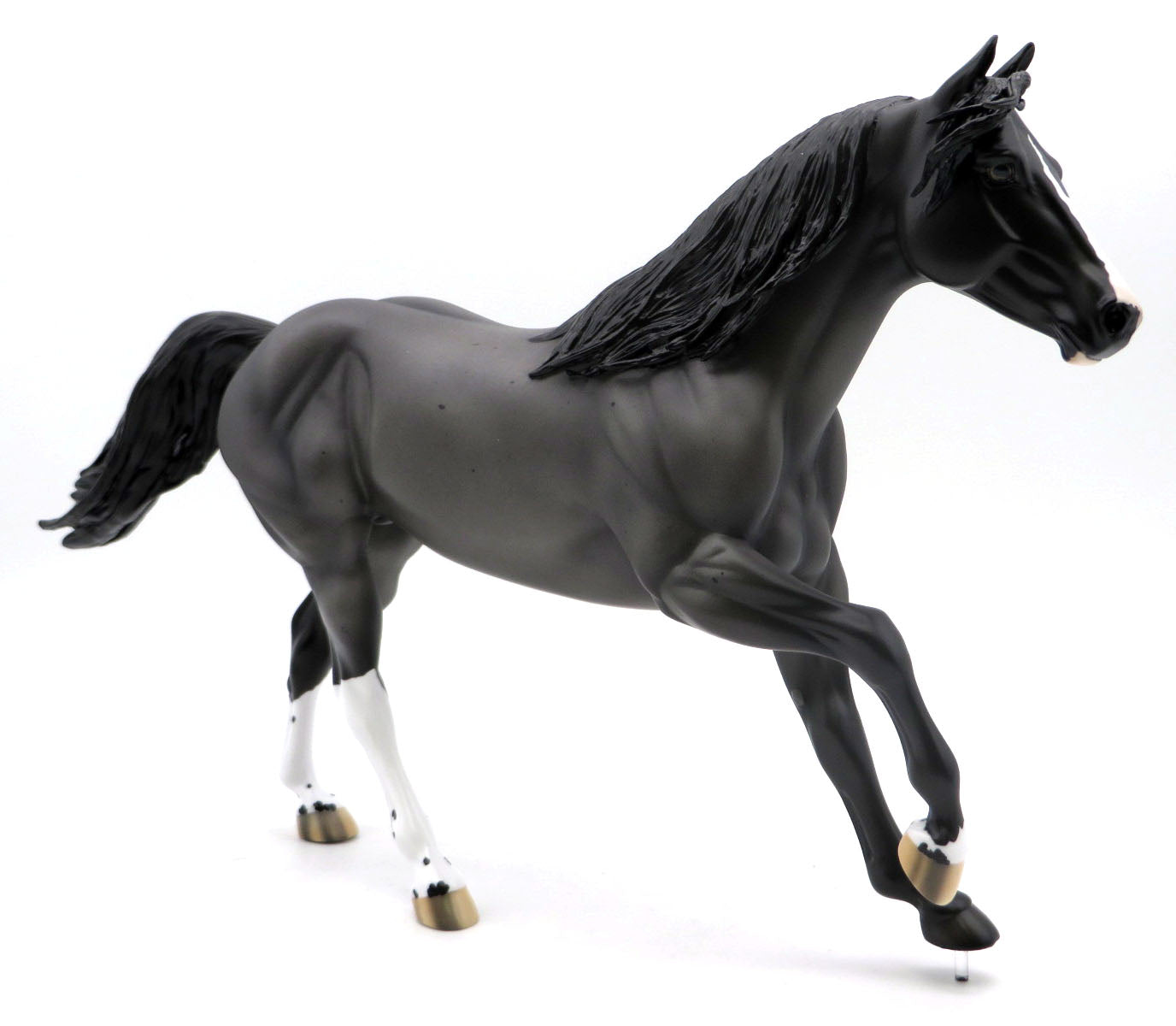 Metropolis- OOAK Blue Roan Foundation Stock Horse SHCF 22