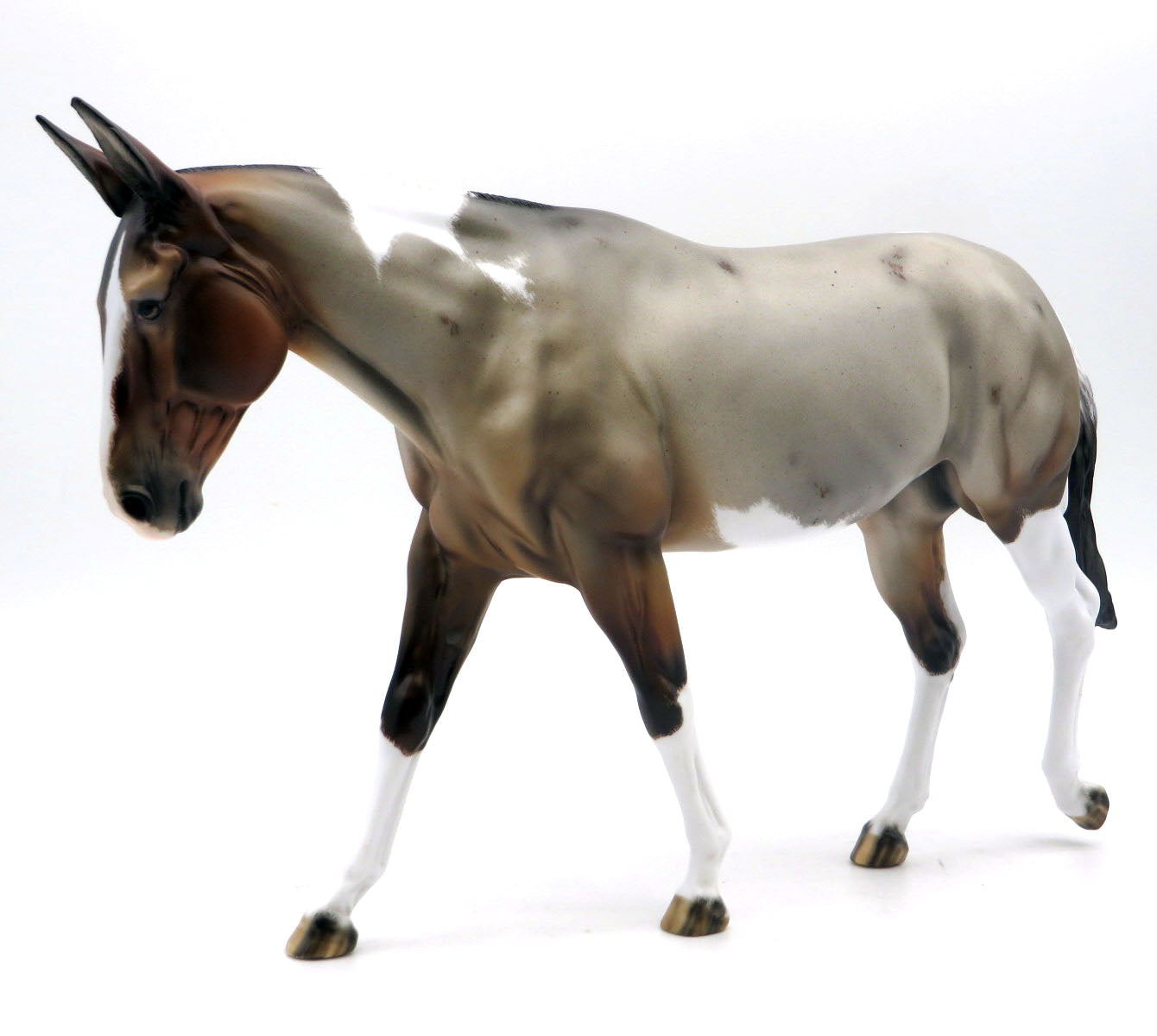 Pay Day-OOAK Bay Roan Tobiano Mule SHCF 22