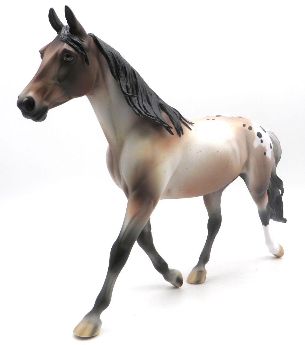 Wings - OOAK Bay Appaloosa Palouse SHCF 22