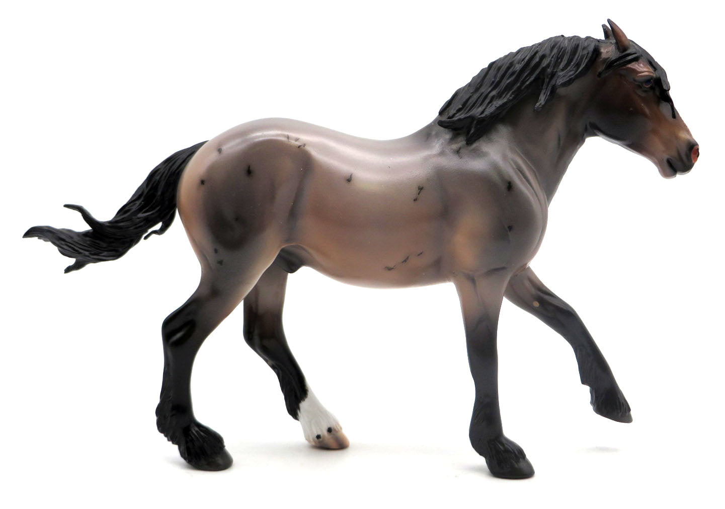 Dr. Hook- OOAK Bay Roan Trotting Drafter Painted by Caroline Boydston 5/16/22