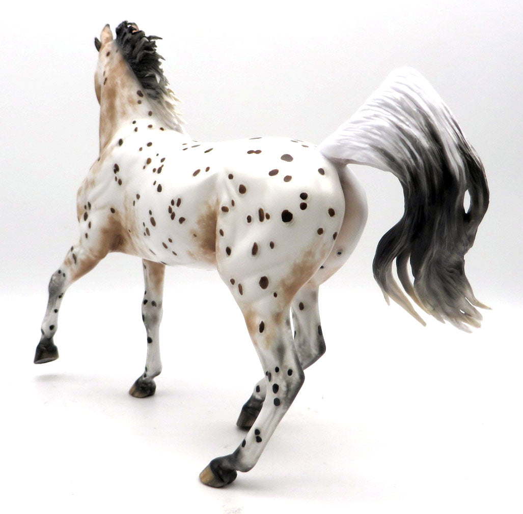 Alotta Dotta-OOAL Loud Appaloosa Arabian Painted by Sheryl Leisure 5/23/22