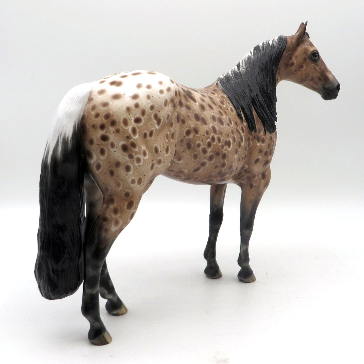 Apollo - BO Ideal Stock Horse by Sheryl Leisure