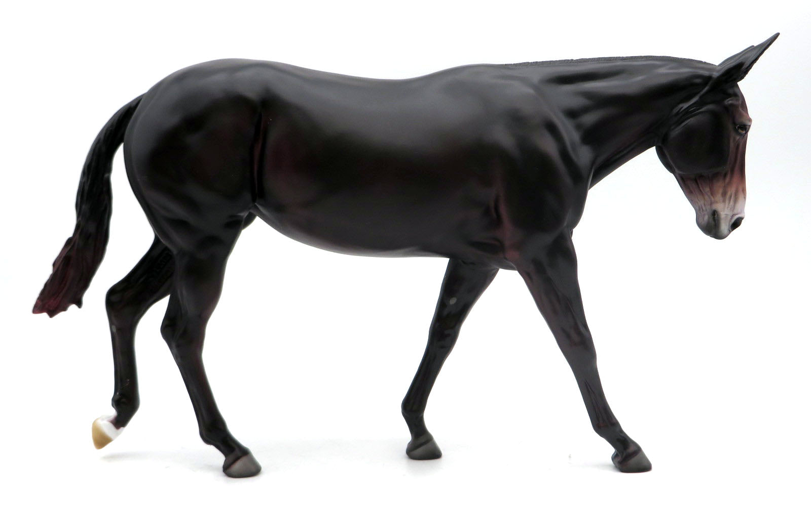 Athena - LE-80 Sunburnt Black Mule - EQ 2022