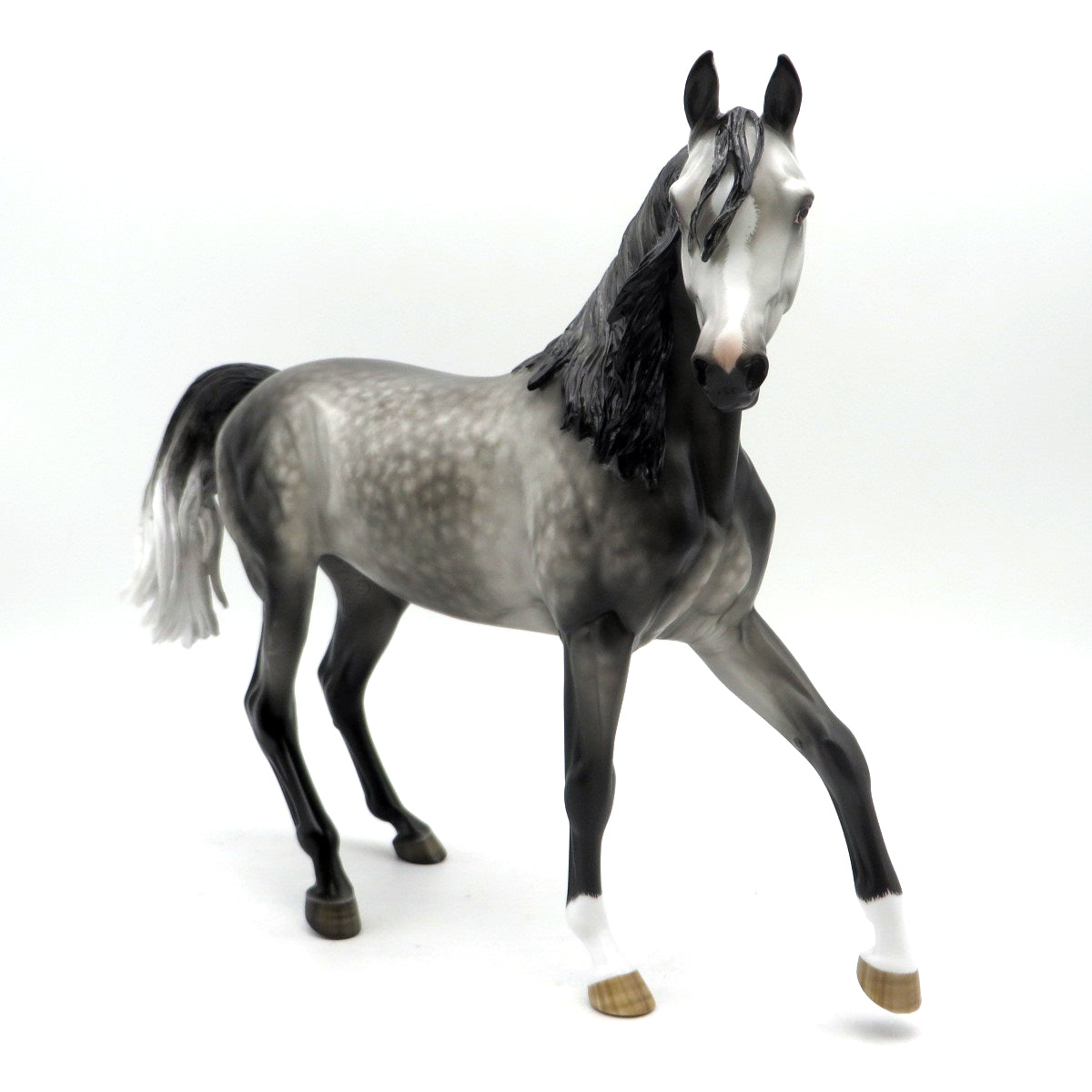 Charlene-OOAK Dapple Grey Arabian Mare 6/27/22
