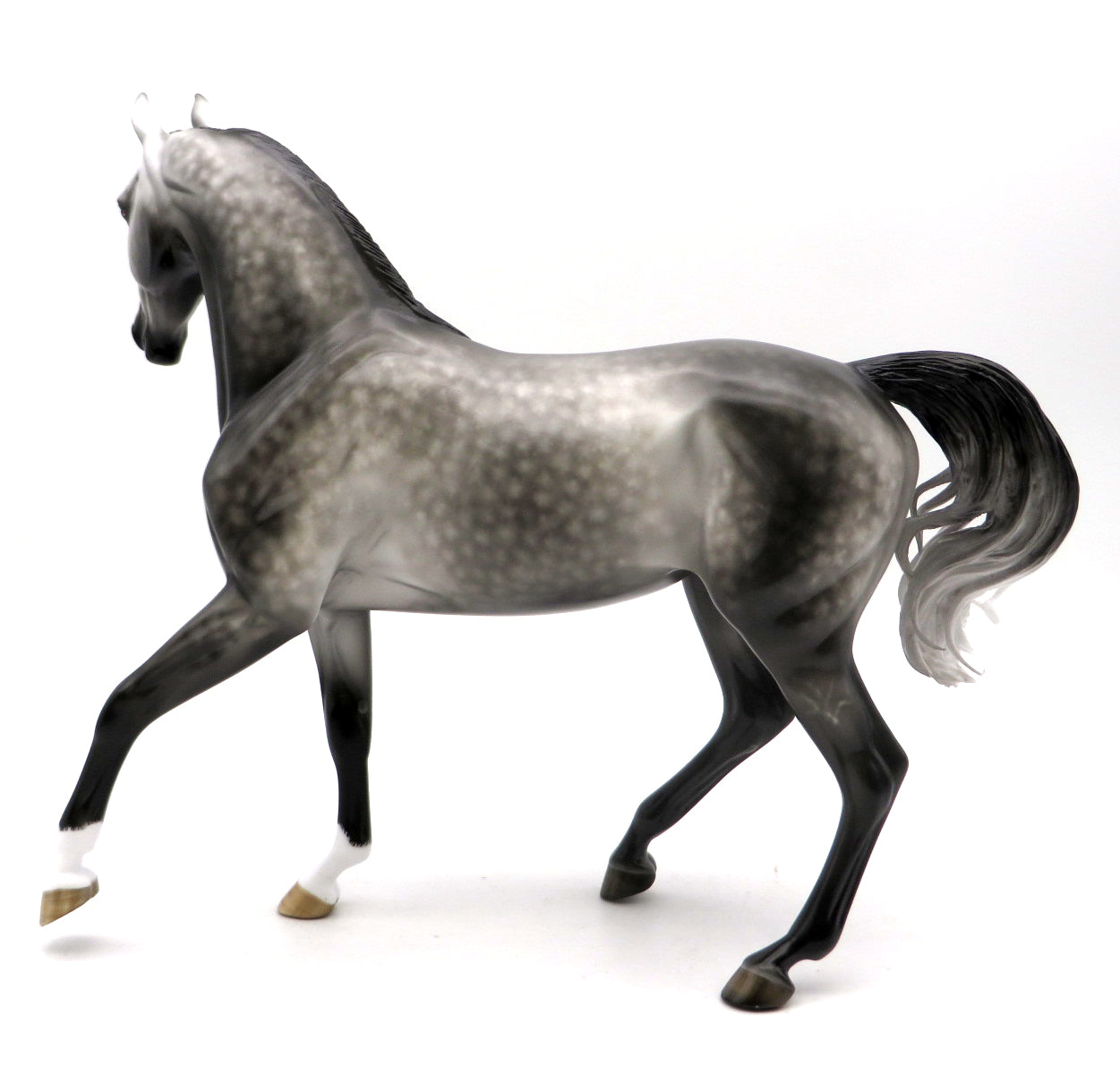 Charlene-OOAK Dapple Grey Arabian Mare 6/27/22