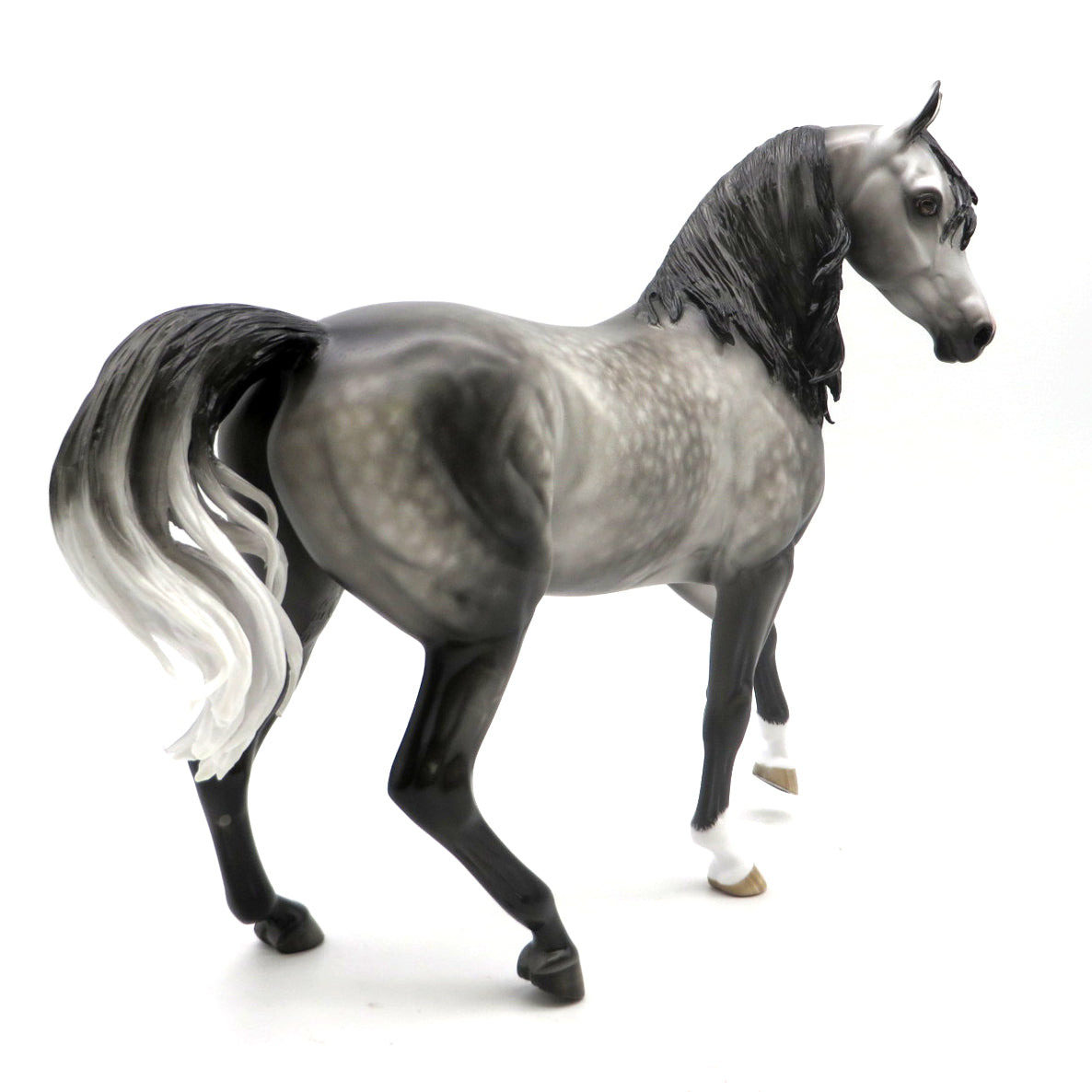 Charlene-OOAK Dapple Grey Arabian Mare 6/27/22