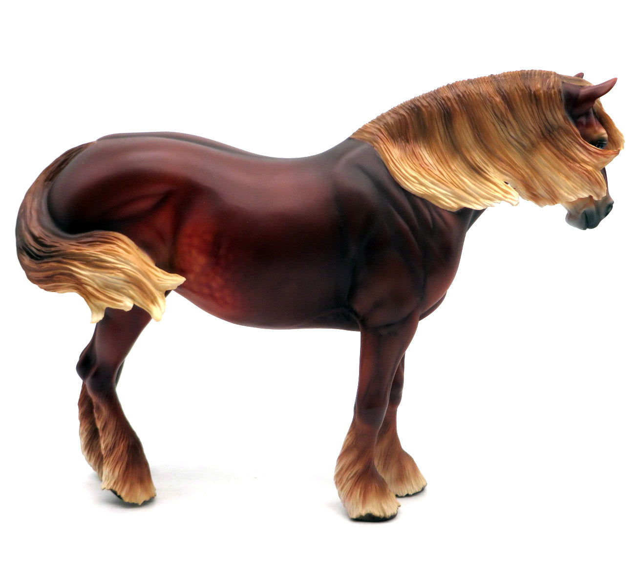 EQ Basket #5 - Seashore EQ 22