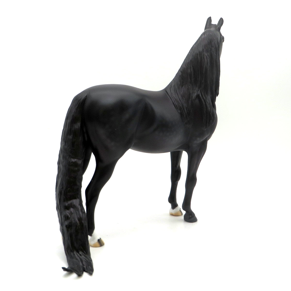 Anubis-OOAK Dapple Black Morgan EQ 22