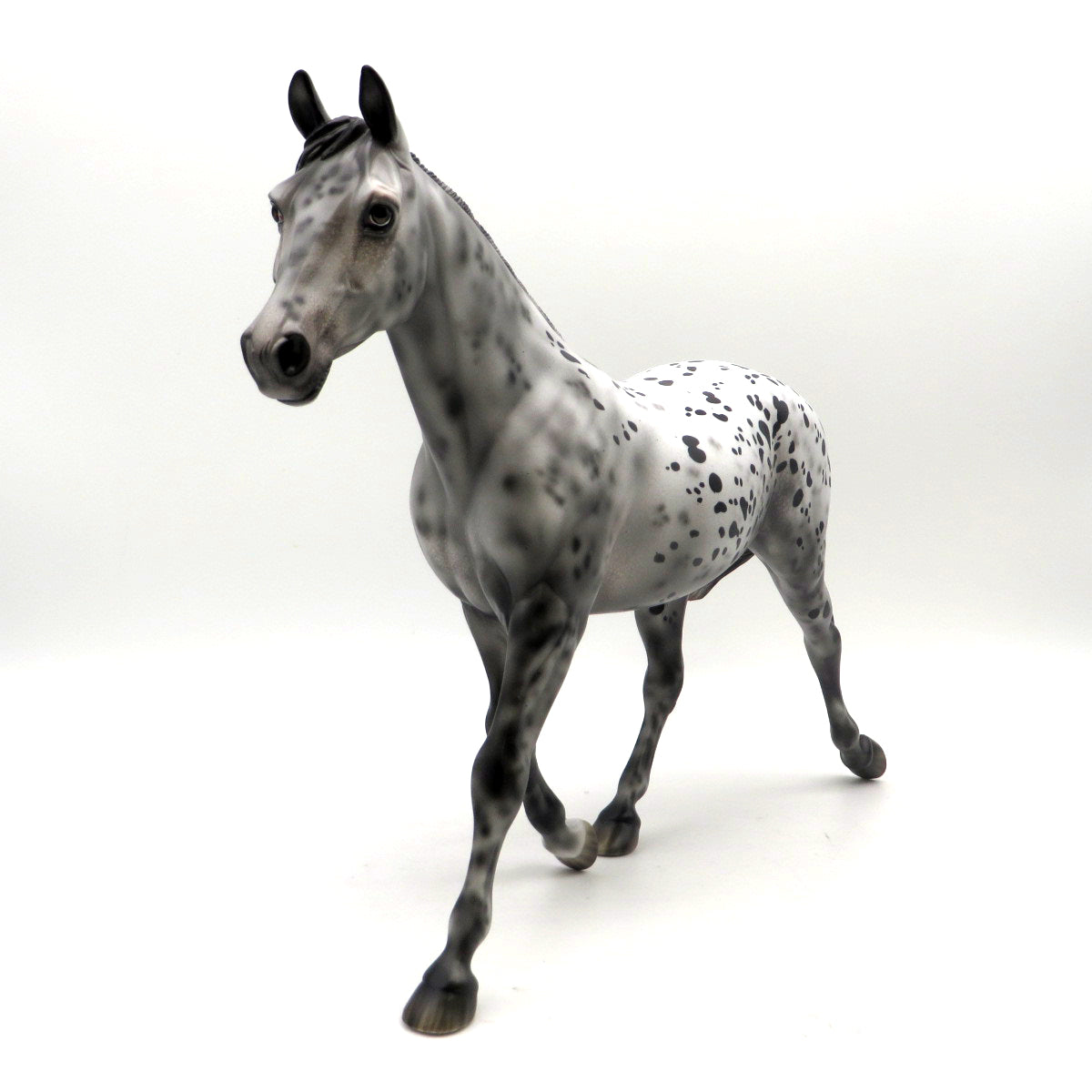 Selena-OOAK Loud Appaloosa Palouse EQ 22