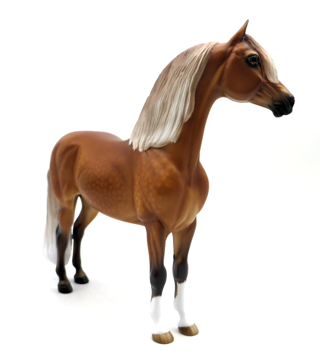 Lover Come Back-OOAK Dapple Silver Bay Morgan Painted by Sheryl Leisure 7/11/22